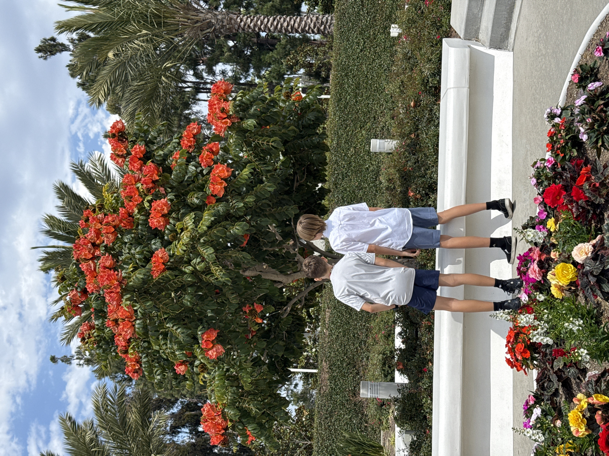 Two young people, likely boys, are standing on a white elevated platform in what appears to be an outdoor garden setting. The person in front is wearing a light grey t-shirt and dark blue shorts. The person behind them is wearing a white t-shirt and similar dark blue shorts. Both are facing away from the camera, looking towards a vibrant tree with abundant bright orange flowers and lush green foliage. The scene is bathed in natural light, suggesting it is daytime, possibly late morning or early afternoon given the shadows. The background features palm trees and a dense green hedge, along with a cloudy blue sky. The foreground is adorned with a colorful array of blooming flowers in shades of red, pink, yellow, and white, planted in dark soil. The overall atmosphere seems peaceful and observational, with the subjects seemingly engaged in admiring the floral display. There is no visible text in the image. The setting, with its palm trees and sunny appearance, aligns with the provided location context of San Diego, USA.