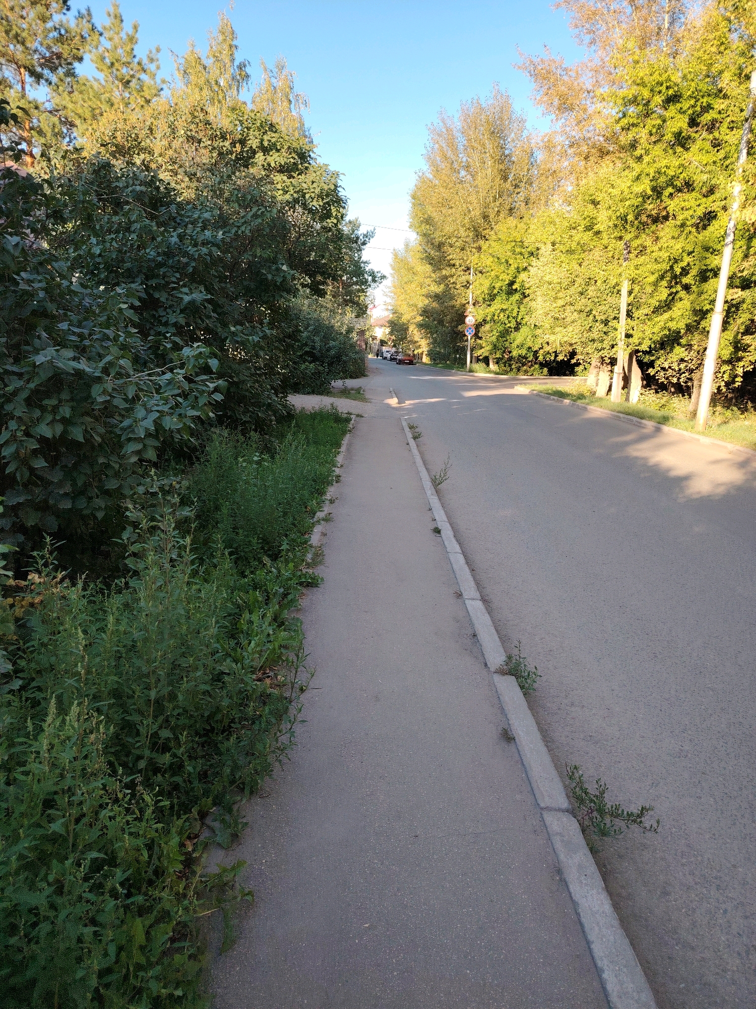 A paved road runs through a city setting with trees lining both sides. A concrete sidewalk is visible on the left, bordered by lush green vegetation. The road curves to the right and appears to lead into a residential area, with buildings and vehicles visible in the distance. The sky is clear and blue, suggesting a sunny day. There are no people or animals explicitly visible in the scene. The image quality is clear, allowing for detailed observation of the environment. The scene likely depicts a street in Astana, Kazakhstan, given the implied context.