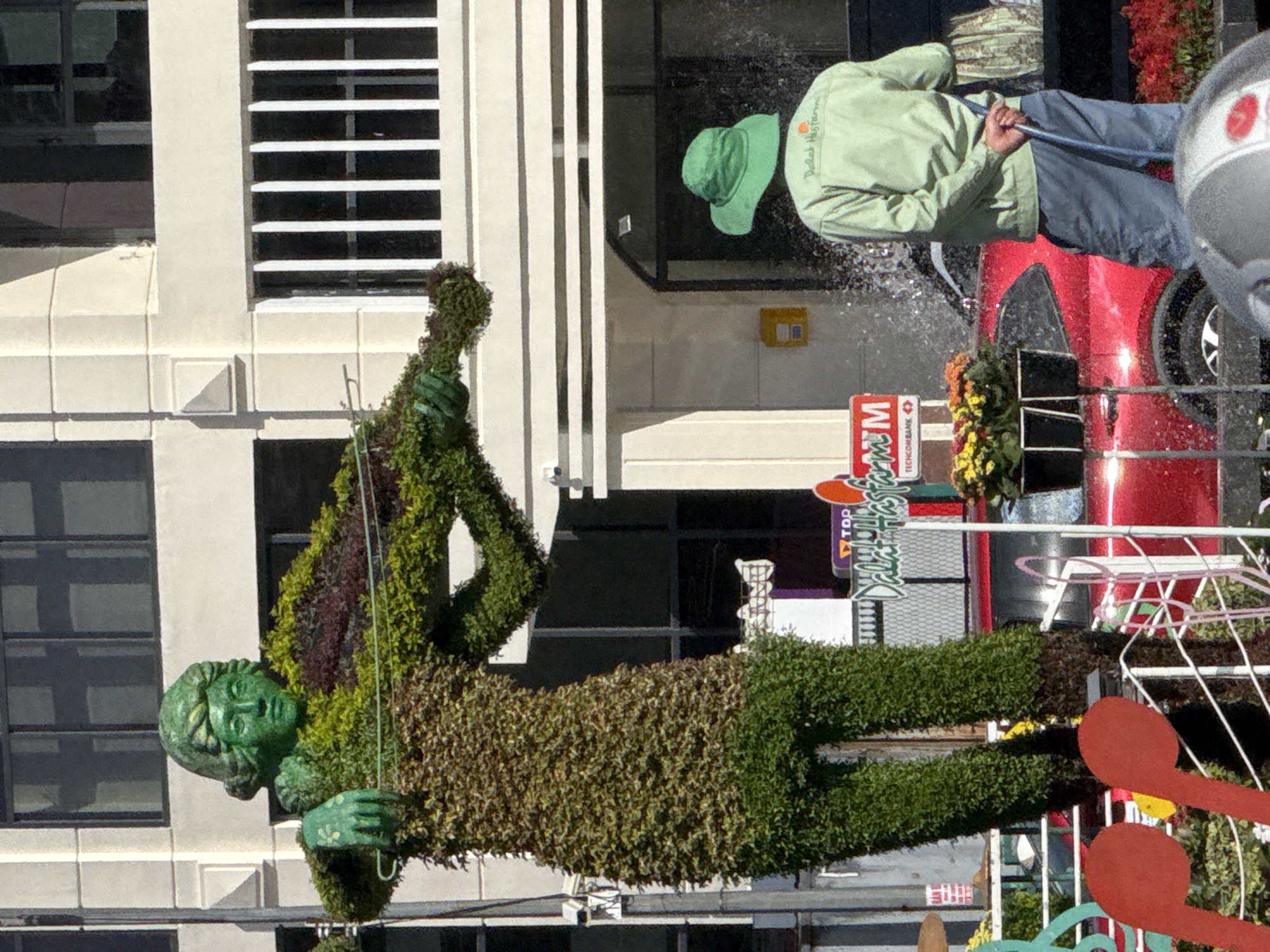 In the city of Da Lat, Vietnam, a striking topiary sculpture of a person playing a violin stands prominently. The sculpture is made entirely of green foliage, with a distinct green-painted face. The figure's left hand is extended, holding the bow across the strings of the vine-formed violin. Behind the topiary, a person wearing a green hat and a light green long-sleeved shirt and grey pants is seen from the back, holding a blue hose and watering plants. A bright red car is parked nearby, and various plants and decorations, including oversized red musical notes, are visible in the foreground and surrounding area. The background features a modern building with large windows and architectural details.