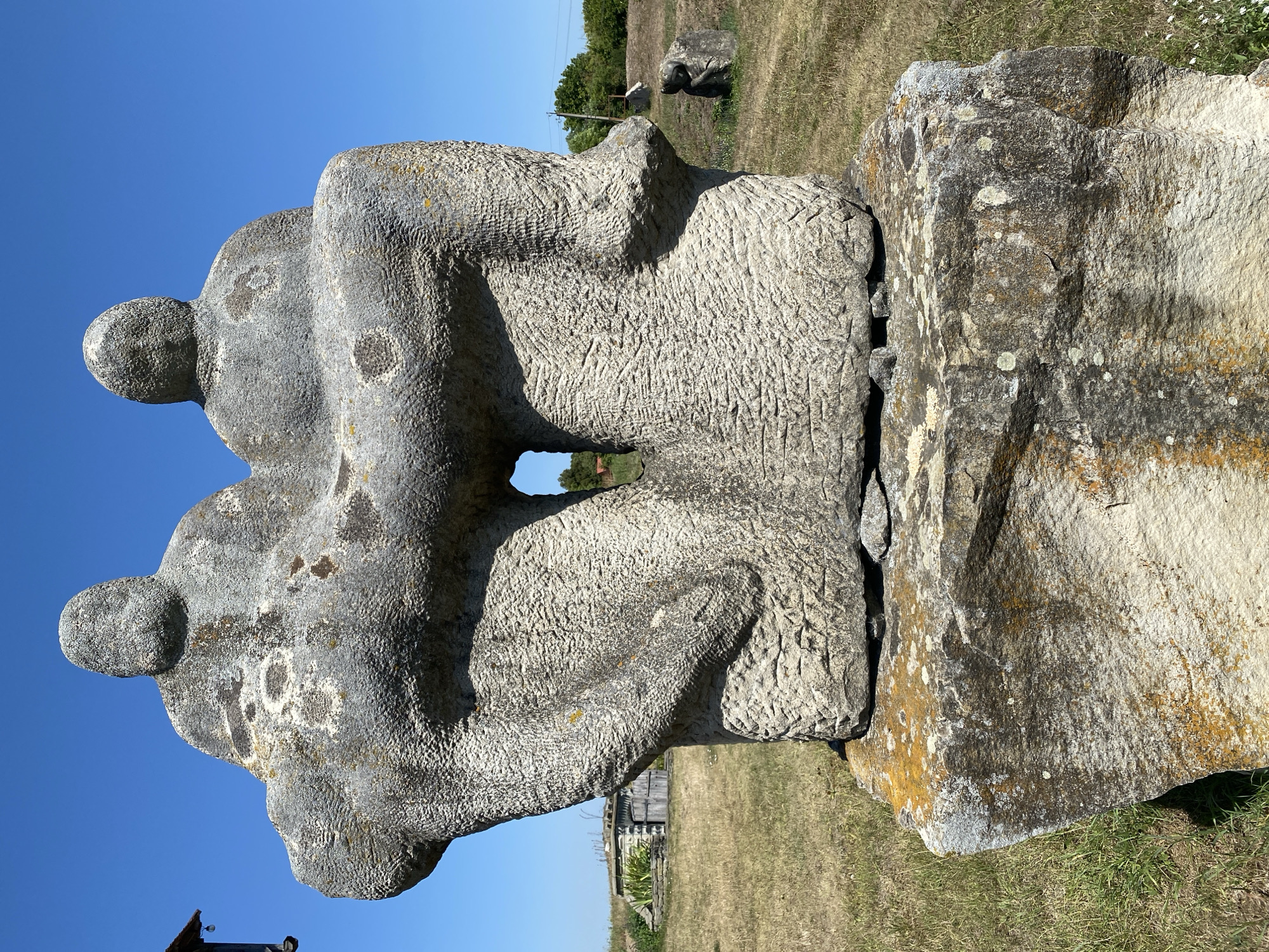 The image shows a stone sculpture of two figures seated and embracing, positioned outdoors on a pedestal of rough-hewn stone. The sculpture is weathered, with textured surfaces and patches of lichen and moss. Behind the sculpture, a dry, grassy field stretches towards a clear blue sky. In the background, to the left, is a small, rustic wooden structure with a dark roof. Further back, a cluster of trees and some other indistinct stone figures are visible in the distance. The overall setting appears to be an open, rural area, consistent with the location of the Busha historical and memorial complex in Ukraine, which features numerous stone sculptures. The lighting suggests a bright, sunny day.