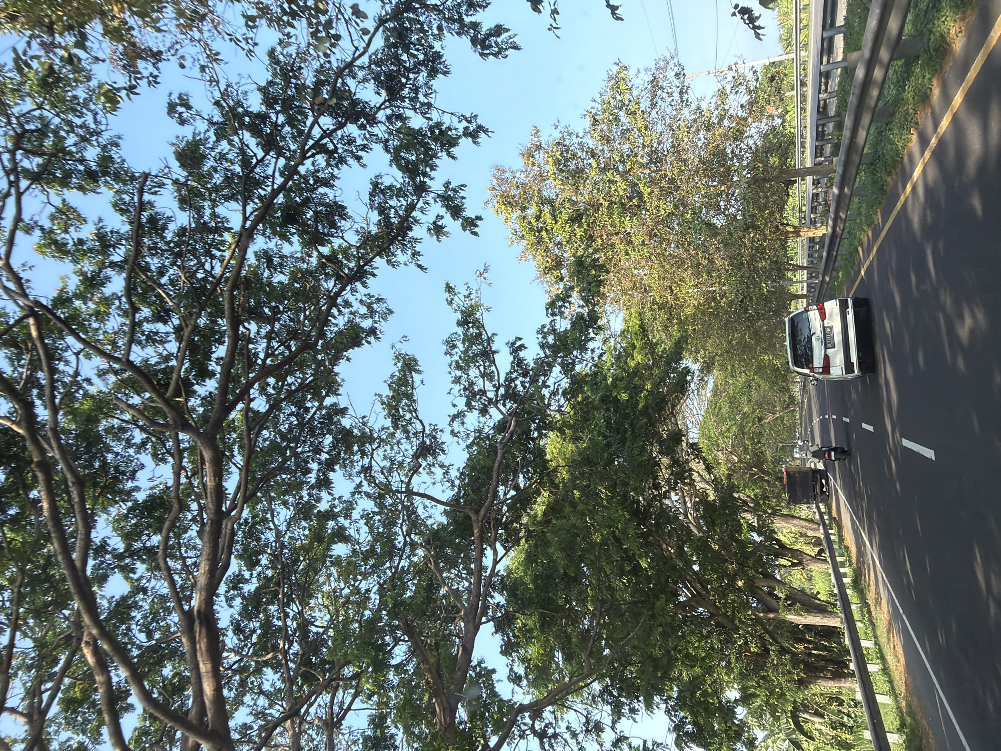 The image captures a road scene in Klungkung, Indonesia, on a sunny day. The road is paved with asphalt and marked with white dashed lines, indicating lanes of traffic. A white car is traveling on the road, followed by a motorcycle. On the left side of the road, there is a metal guardrail. Mature trees with lush green foliage line the road, forming a canopy overhead and casting shadows on the pavement. In the distance, a truck is visible. The sky is clear and blue. The vegetation suggests a tropical or subtropical environment.