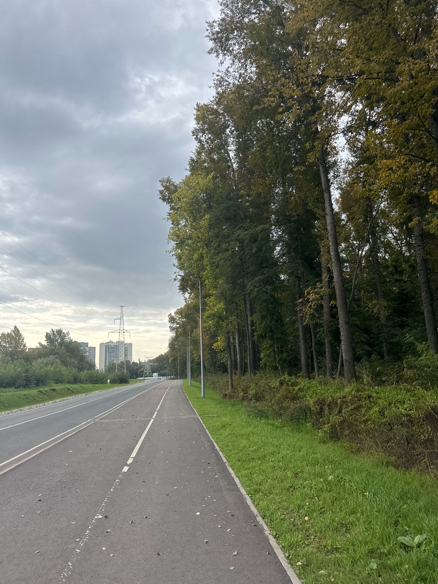 The image depicts a paved pathway running alongside a road, bordered by a dense line of trees on the right and a grassy verge. The pathway is marked with white lines, and scattered leaves are visible on its surface. Beyond the road to the left, there is more greenery and several tall buildings, including a distinctive pylon structure. The sky is overcast with grey clouds. The scene appears to be a suburban or park-like area, possibly on the outskirts of a city. Based on visual cues like the architecture of the buildings and the overall landscape, this location is identified as Ufa, Russia. There are no visible people or animals in the immediate foreground of the image.