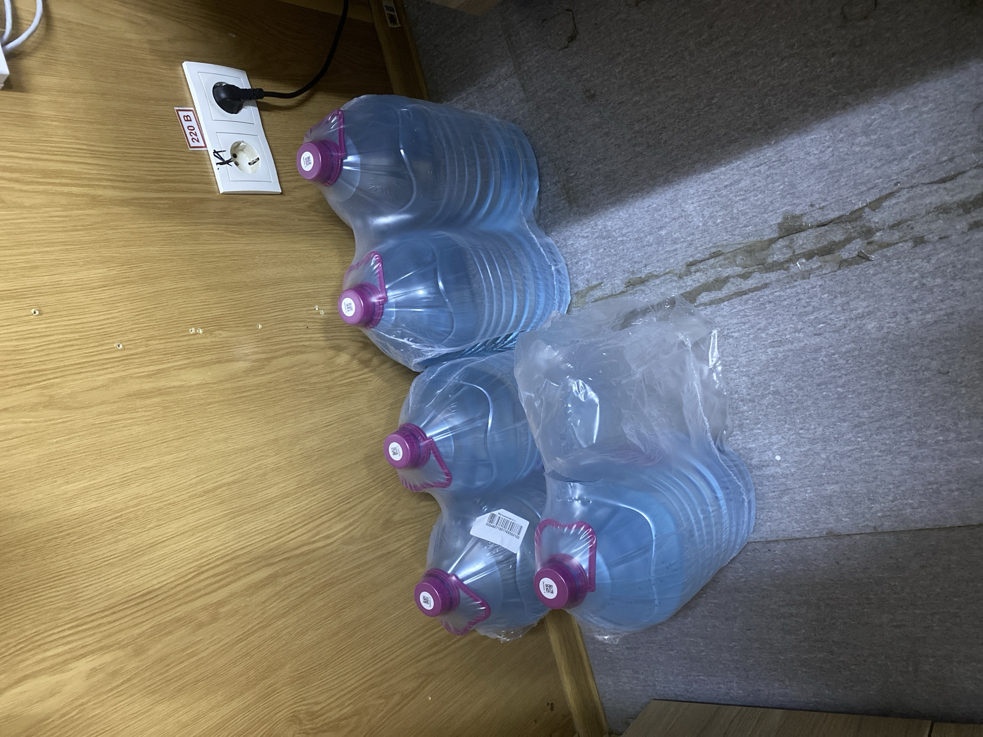 The image shows a wall with wood paneling and a white electrical outlet. A plug is inserted into the right socket of the outlet, and a black cord extends from it. A label on the wall above the outlet reads "220 B". In front of the wall, on the floor, are six large plastic bottles of water, mostly covered in plastic wrapping. The bottles have purple caps and appear to be partially full. The floor is covered in a textured grey material with some light brown stains. The setting appears to be indoors, possibly a storage area or a room in Luzhitsy, Russia.