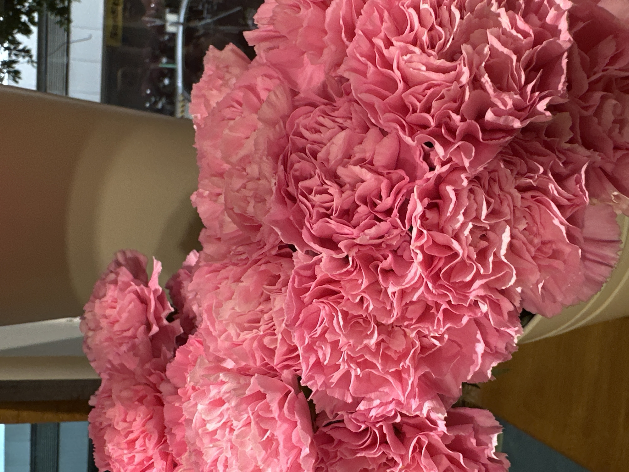 Close-up of a bouquet of pink carnations. Unclear if Davao City is in the image.