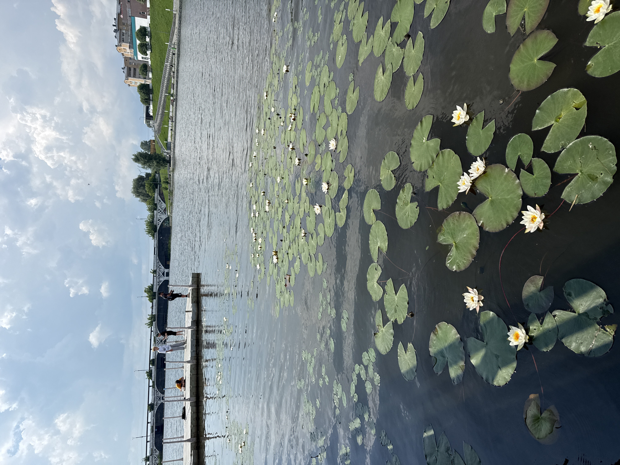 The image captures a scenic view of the Selye River in Votkinsk, Russia, on a cloudy day. In the foreground, a dense cluster of green lily pads dots the dark water, interspersed with delicate white water lilies. Several people are visible on a floating pier in the middle ground, appearing to be fishing or enjoying the riverbank. The pier extends from the left side of the frame towards the center. In the background, a white bridge with an arched structure spans the river, and beyond that, the cityscape of Votkinsk is visible, with buildings and trees lining the riverbank. The sky is filled with dramatic, heavy clouds, suggesting a dynamic weather pattern.