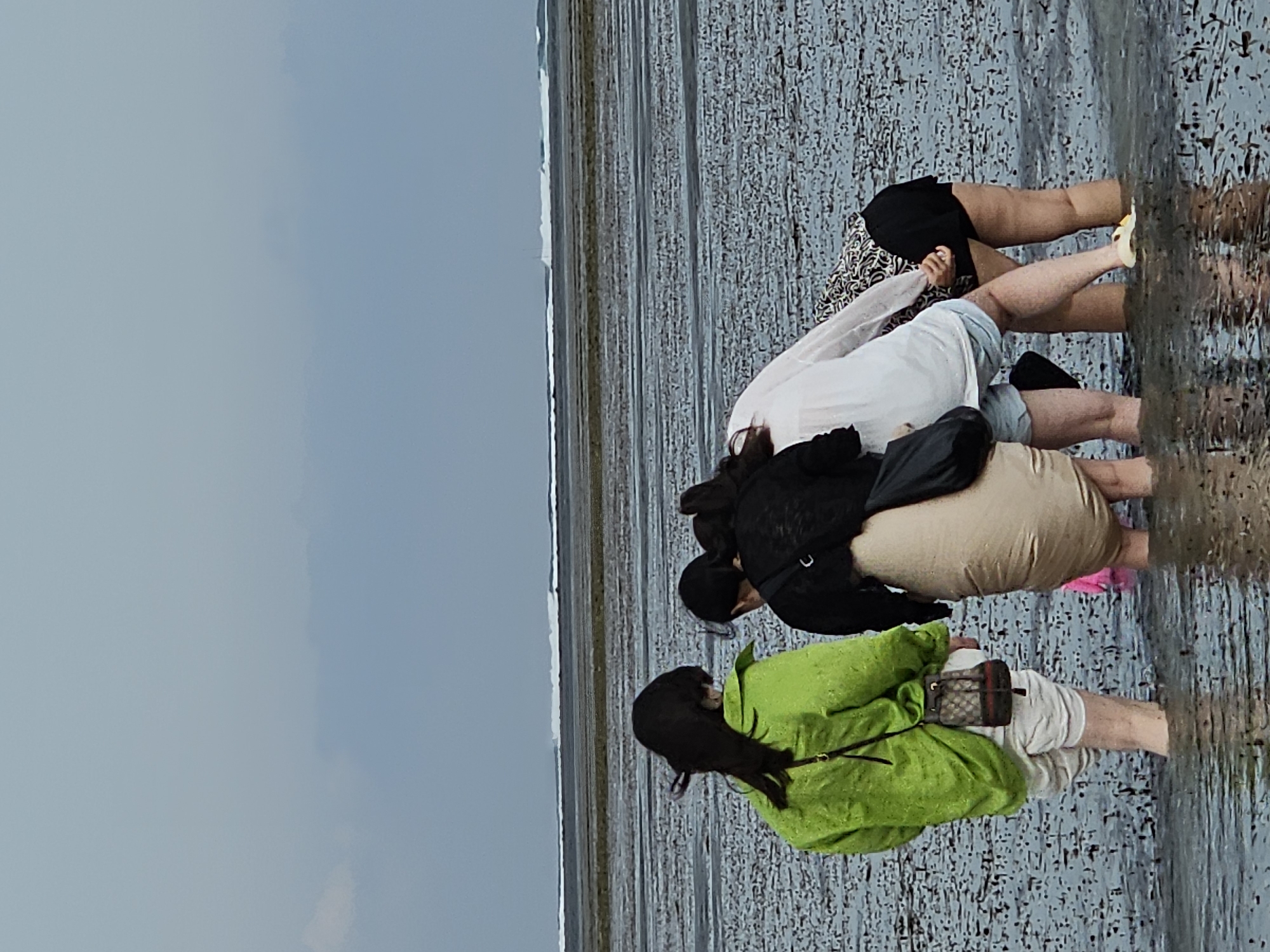 Four individuals are standing in shallow water on a wet, sandy beach in Denpasar, Indonesia, under an overcast sky. The water is dark and reflects the cloudy sky. The beach is covered in dark, wet sand with many small, scattered dark objects, possibly seaweed or shells. In the distance, a line of breaking waves is visible against the horizon.
From left to right, the first person is wearing a bright green jacket over white shorts and has a small, brown patterned bag with a drawstring hanging from their left shoulder. The second person is wearing a light brown skirt or long shorts and a black top, with a black bag slung over their shoulder. The third person is wearing a white shirt and light blue shorts. The fourth person is wearing a black and white patterned top and black shorts. Their legs are submerged in the water, and the third and fourth individuals are bending over, appearing to be examining something on the seabed. The water level comes up to about mid-calf on the individuals.