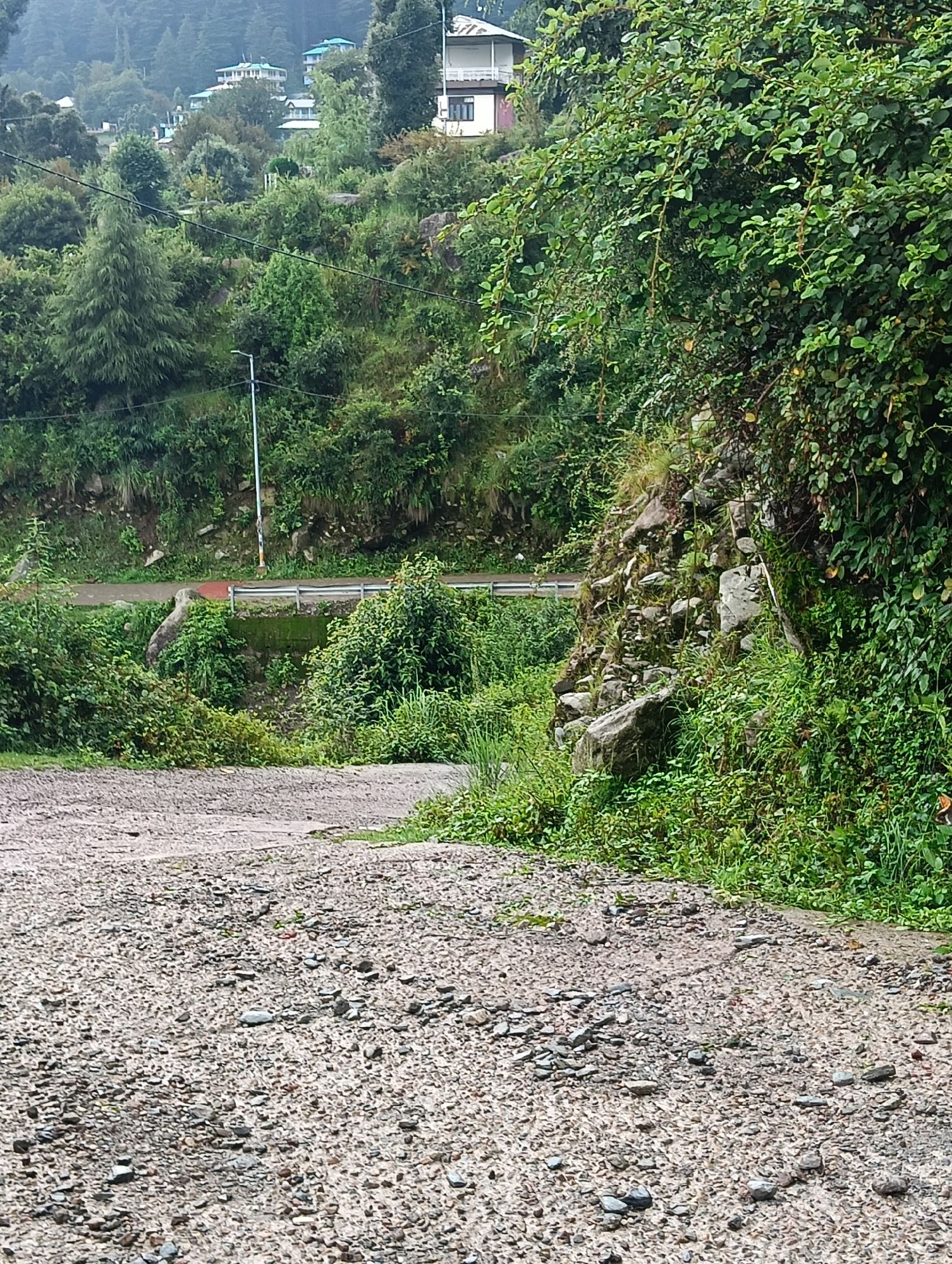 The image depicts a rural landscape with a gravel road in the foreground. The road is wet, indicating recent rain. Lush green vegetation covers the slopes and hillsides, with a variety of trees and bushes. In the mid-ground, a road with a red stripe and a metal guardrail runs horizontally across the scene, bordered by dense foliage. A lamppost is visible along this road. In the background, several buildings with white and blue roofs are nestled on the hills, suggesting a settlement. The overall scene conveys a sense of a natural, mountainous environment likely in a rural or semi-urban area in India, possibly in or near Haini, given the context provided. There are no people or animals visible in the image. The lighting suggests an overcast day.