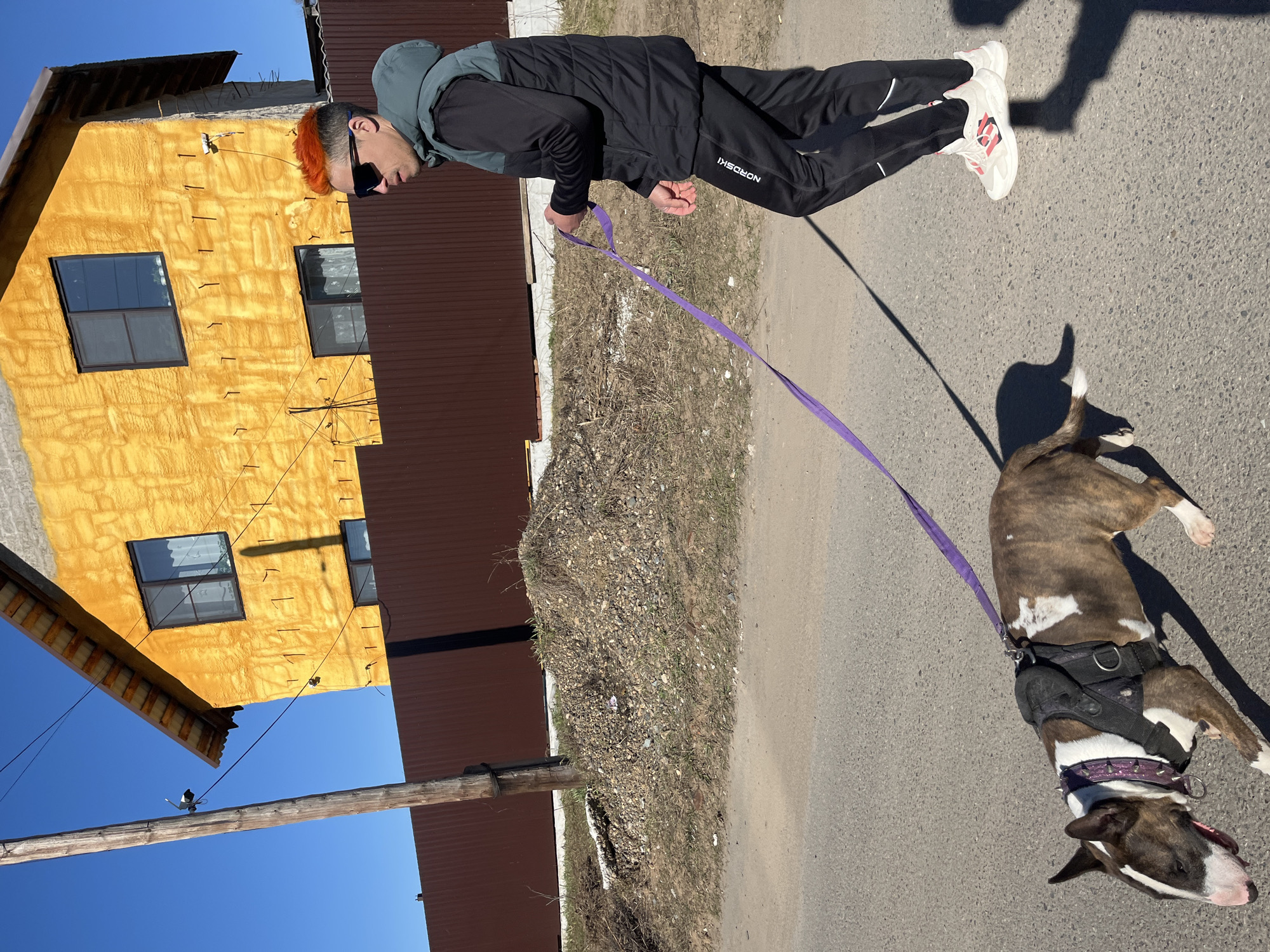 A street scene in what is likely Chaikovsky, Russia features a man walking a dog. The man, oriented horizontally, is wearing a black jacket, black pants with the word "NORDSKI" on the lower leg, white sneakers, and sunglasses, and has orange hair. He is holding a purple leash connected to a brindle-colored bull terrier. The dog is lying on the pavement. Beside the road is a pile of dirt and construction debris. In the background is a two-story building with yellow siding and two visible dark-framed windows on the first story. The building has a brown metal roof. A utility pole is in the foreground. The sky is bright blue.