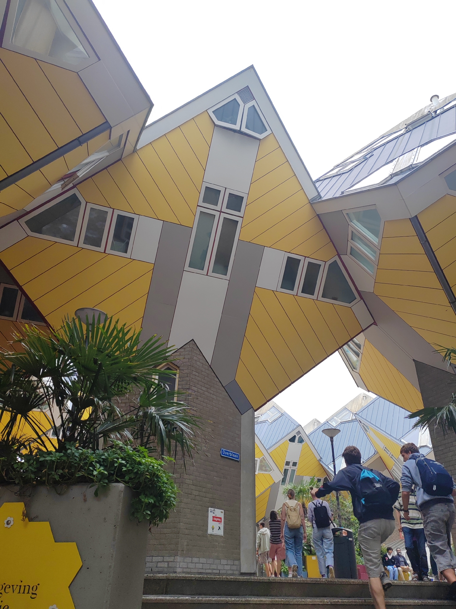 This image captures a group of people walking up a set of stairs towards the iconic Cube Houses in Rotterdam, Netherlands. The distinctive yellow and grey cubic structures dominate the background, their angular roofs and windows creating a visually striking architectural landscape.
The scene appears to be a bright day, with the sky overcast but providing ample light for the photograph. The lush greenery of a palm tree and other plants in a concrete planter to the left adds a touch of nature to the urban setting.
Several individuals are visible, most of whom are seen from behind as they ascend the stairs. They are dressed casually, with backpacks suggesting they might be tourists exploring the area or residents going about their day. One person in the foreground is in motion, mid-stride.
A street sign labeled "Overblaak" is visible on the brick building to the right, providing a clear location cue. Another sign with the text "stay okay" and some pictograms is also present on the same building. The overall mood of the image is one of exploration and perhaps slight wonder at the unique architecture. The perspective is from ground level, looking upwards into the complex arrangement of the cube houses.