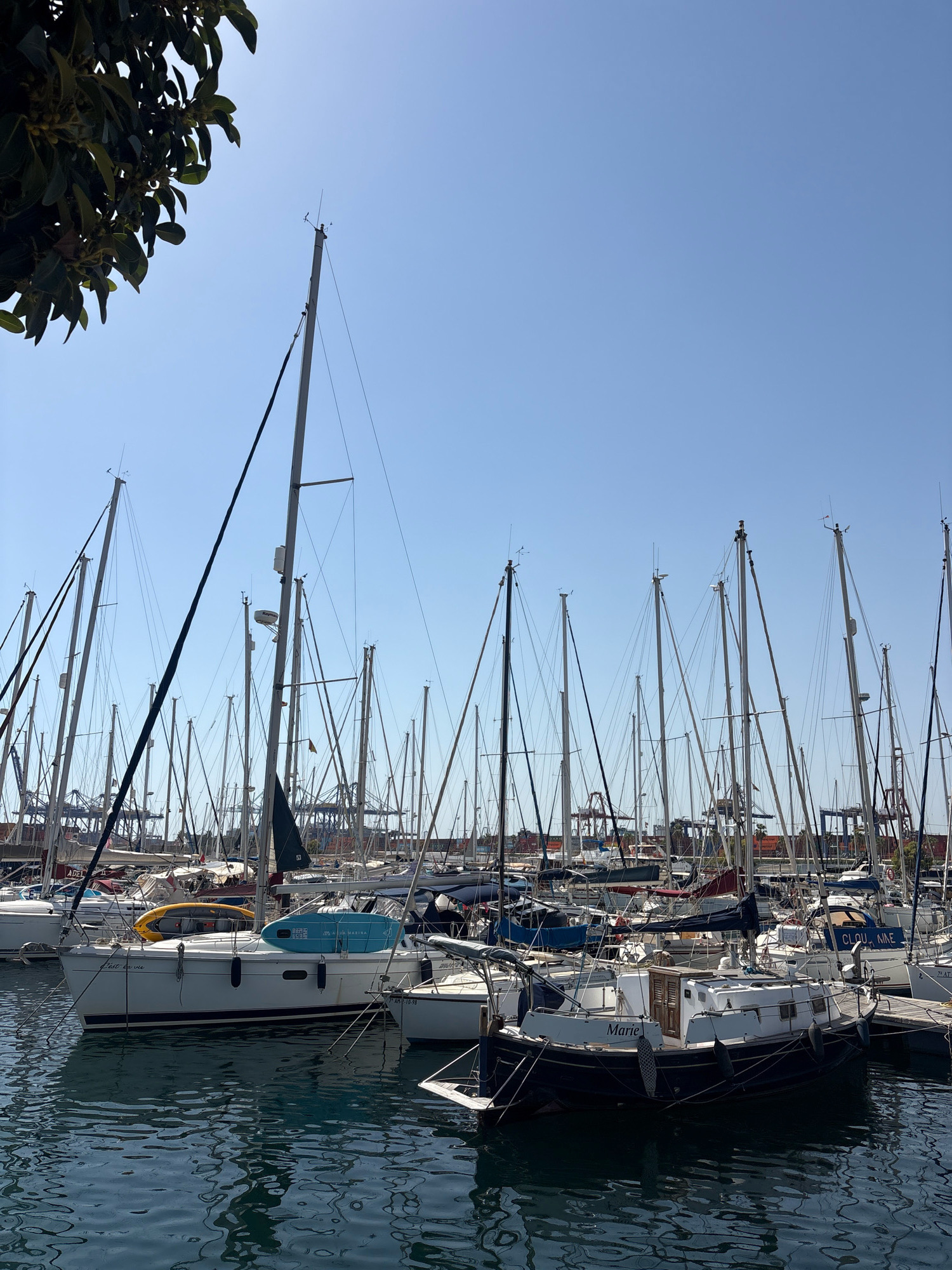This image depicts a marina in Valencia, Spain, filled with numerous sailboats docked side-by-side under a clear blue sky. The foreground shows the calm, rippling water of the harbor, reflecting the boats and the sky. Several sailboats of various sizes and colors are visible, with their masts reaching high into the sky. Some boats have sails furled, while others have them partially deployed.
In the middle ground, the boats are densely packed, creating a maze of masts and rigging. One prominent white sailboat in the center features the name "C'est la vie" on its hull and has a bright yellow inflatable kayak and a blue stand-up paddleboard secured to its deck. Another dark blue sailboat to the right is named "Marie." In the background, industrial cranes and structures of a port are visible, suggesting proximity to a commercial shipping area.
The scene is bathed in bright sunlight, casting sharp shadows. No people are explicitly visible in the image, but the presence of docked boats implies their activity in the marina. The overall impression is one of a busy, sun-drenched day at a Spanish coastal marina.
