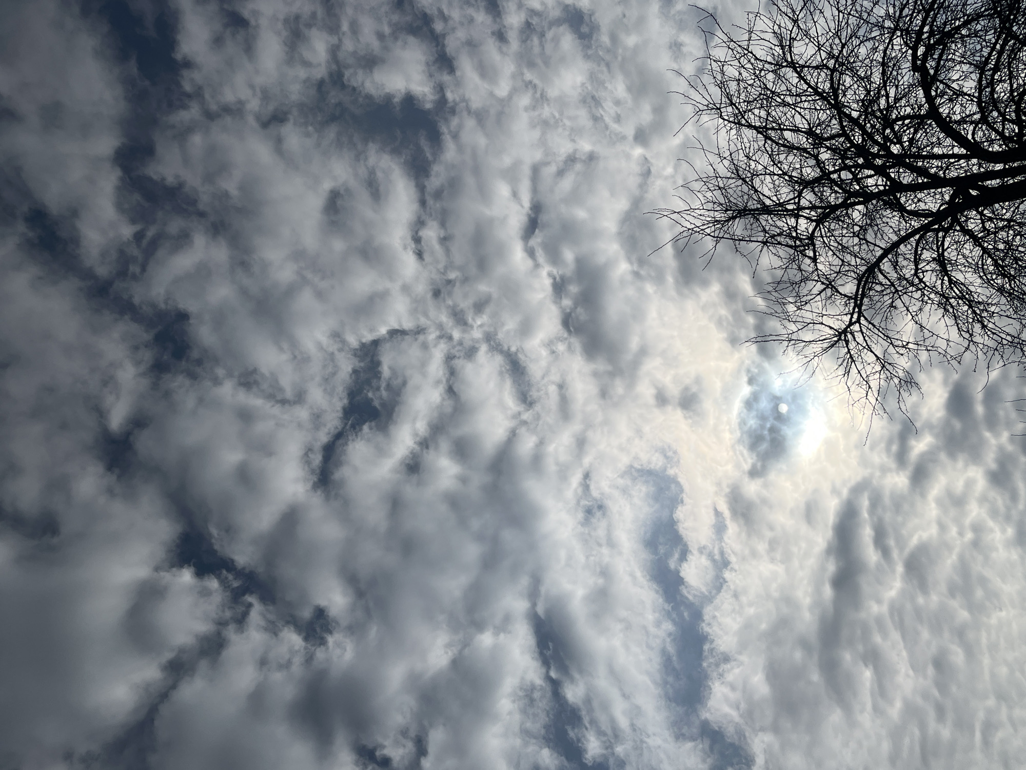 The image is a low-angle shot of a cloudy sky in Фоки, Russia. Dense, textured clouds dominate the frame, with varying shades of gray and white indicating differing density and sunlight penetration. The sun is visible through a thin patch of clouds, appearing as a bright, diffuse light source. A bare tree branch structure is silhouetted against the sky in the upper right corner of the image. The overall scene suggests a daytime setting with overcast weather conditions.