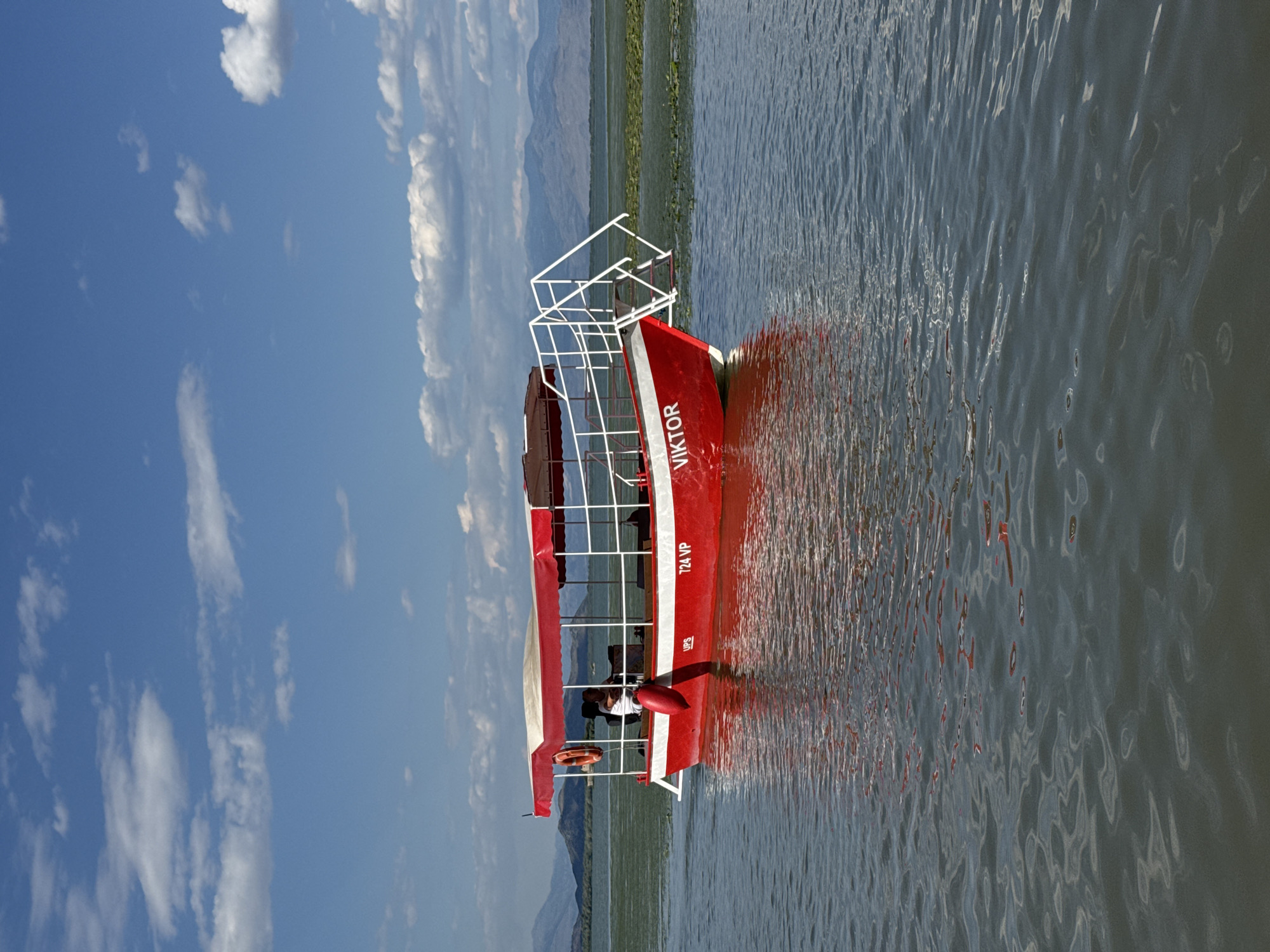 A red and white tour boat named "VIKTOR" is on calm, dark water, reflecting the boat and the sky. The boat has a white canopy and railing. A person in a white shirt is visible at the helm. The boat is in a body of water with green vegetation on the far bank, and mountains in the background under a blue sky with white clouds. The location is Seoca, Montenegro.