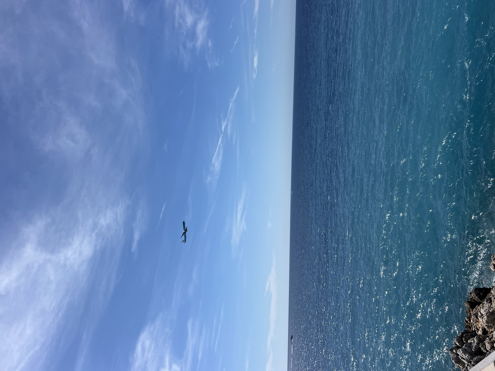 The image depicts a clear blue sky with scattered cirrus clouds and contrails from an airplane flying high above the ocean. The ocean is a deep blue, with lighter turquoise hues closer to the shore, suggesting shallow water or light reflection. Gentle waves create a textured surface on the water, and sunlight glints off the crests.
In the foreground, a rocky shoreline is visible on the left side of the image, with some vegetation. In the distance, the horizon line separates the sea and the sky. A small boat is visible on the left side of the ocean, and another faint object that might be a boat or a distant landmark is on the right.
Given the clear skies, the beautiful blue water, the presence of an airplane likely approaching or departing from an airport, and the rocky coastline, this scene is consistent with the coastline of Nice, France, particularly near the Promenade des Anglais where the water is famously blue and airplanes can be seen overhead during their approach to Nice Côte d'Azur Airport. The light suggests it is daytime, likely morning or afternoon given the brightness. There are no people clearly visible in the image. The overall atmosphere is one of serenity and natural beauty.