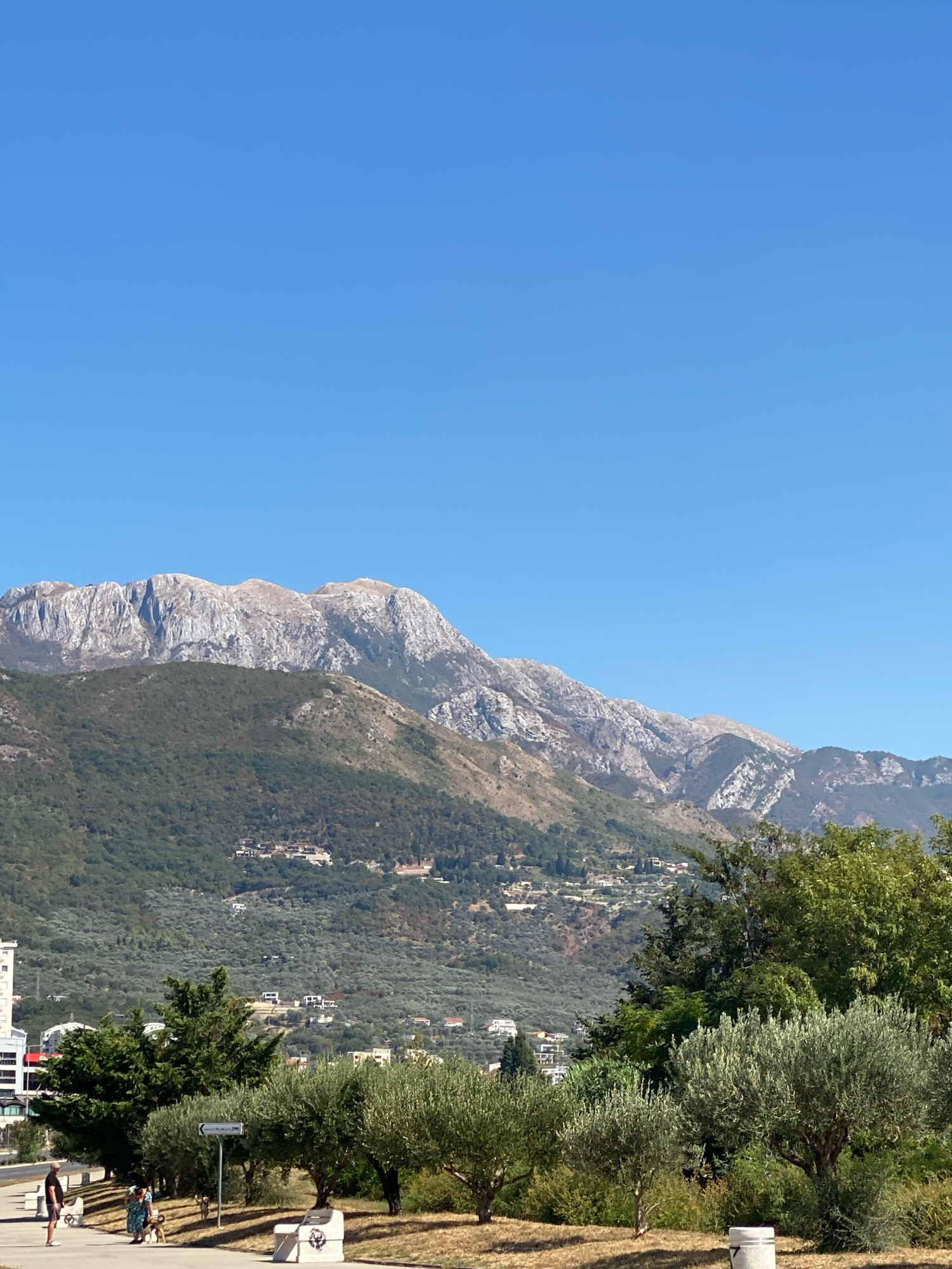 The image depicts a scenic view of the city of Bar, Montenegro, with a prominent mountain range in the background under a clear blue sky. In the foreground, a paved walkway runs along a grassy area dotted with trees, including several olive trees. Two people are visible on the walkway, one standing and one bending down, with a small dog nearby. Parked along the walkway are two white benches and a trash receptacle. To the left, a white building is partially visible. The middle ground features a hillside covered with vegetation, including numerous olive trees, and scattered houses and buildings. The mountainous backdrop is characterized by rugged, rocky peaks with sparse vegetation, indicating a significant elevation. The overall scene is one of natural beauty combined with a developed urban environment.