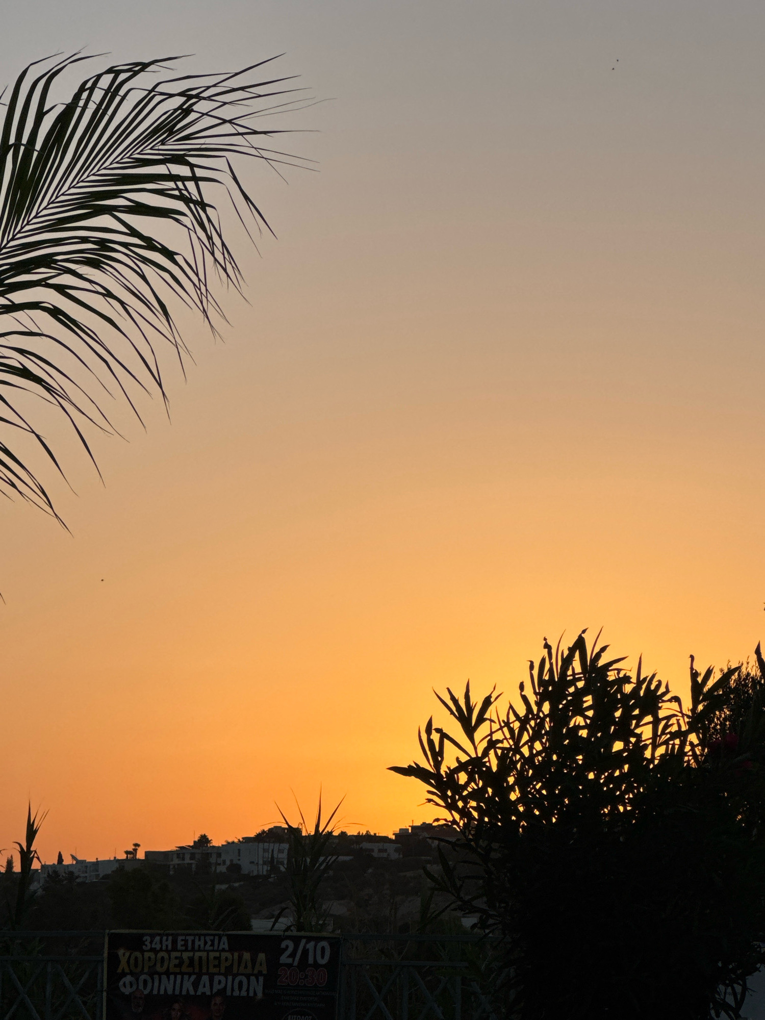 This is a vertical, eye-level shot of a sunset over a hilly, urban area in the Germasogeia Municipality, Cyprus. In the foreground, a dark silhouette of lush foliage, possibly oleander or similar shrubs, occupies the lower right portion of the frame. To the left, a palm frond extends from the upper left corner downwards into the frame, creating a contrast with the foliage. A dimly lit billboard is visible at the bottom, featuring Greek text, including "ΧΟΡΟΣΠΕΡΙΔΑ" (Choreosperida) and "ΦΟΙΝΙΚΑΡΙΩΝ" (Foinikariwn), along with a date and time. The middle ground shows the silhouette of buildings clustered on a hillside. The background is dominated by a gradient sky, transitioning from a pale gray at the top to a vibrant orange near the horizon, indicative of a sunset. A few small birds are visible as dark specks in the upper portion of the sky. The overall impression is of a tropical or Mediterranean evening scene.
