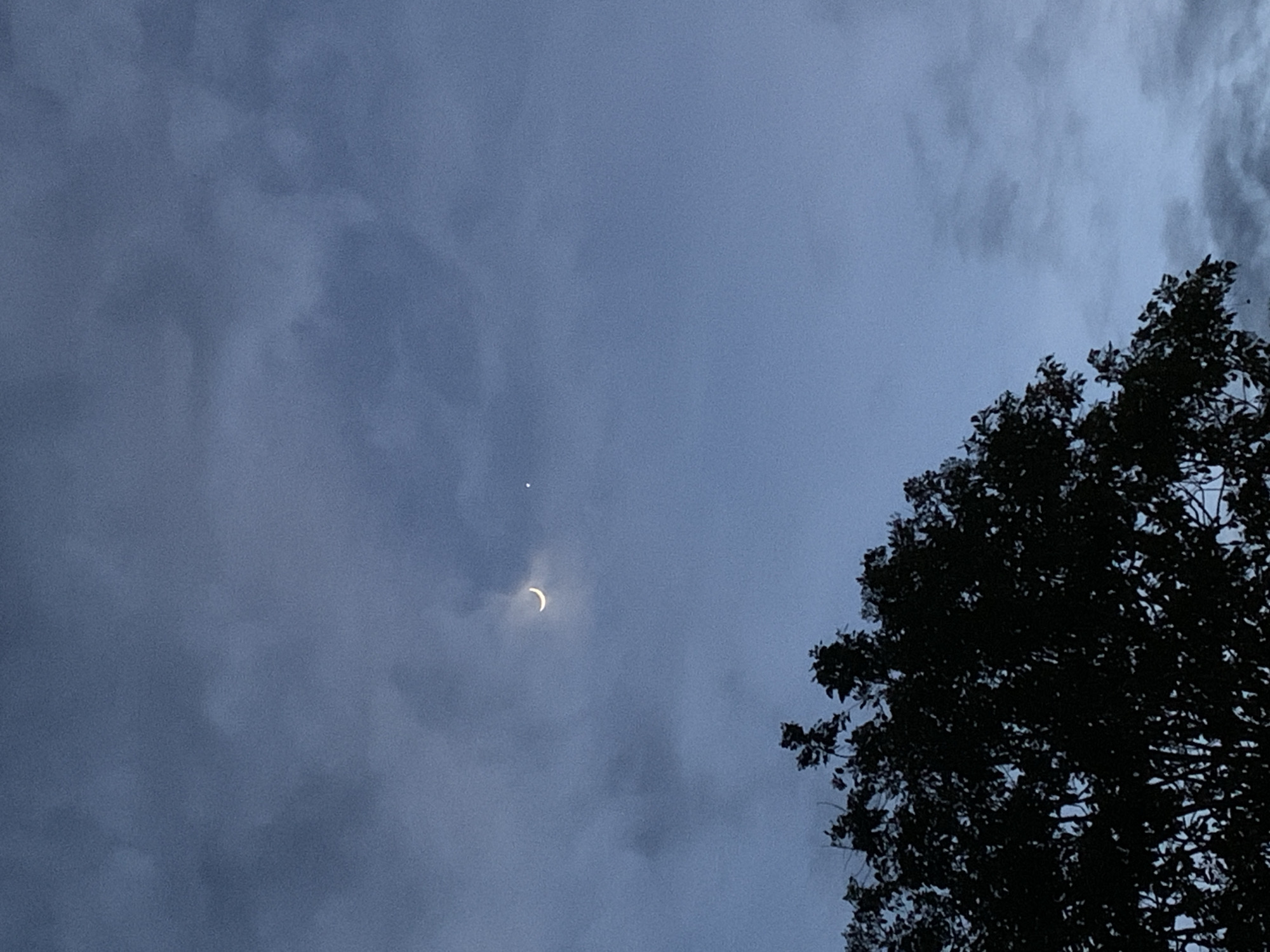 A crescent moon and a bright star are visible in the twilight sky above Kuru Karama, Nigeria. A silhouetted tree with dense foliage occupies the lower left portion of the frame. The sky is predominantly a deep blue with some scattered, wispy clouds. The lighting suggests it is early evening or late dusk. There are no people or identifiable structures in the image.