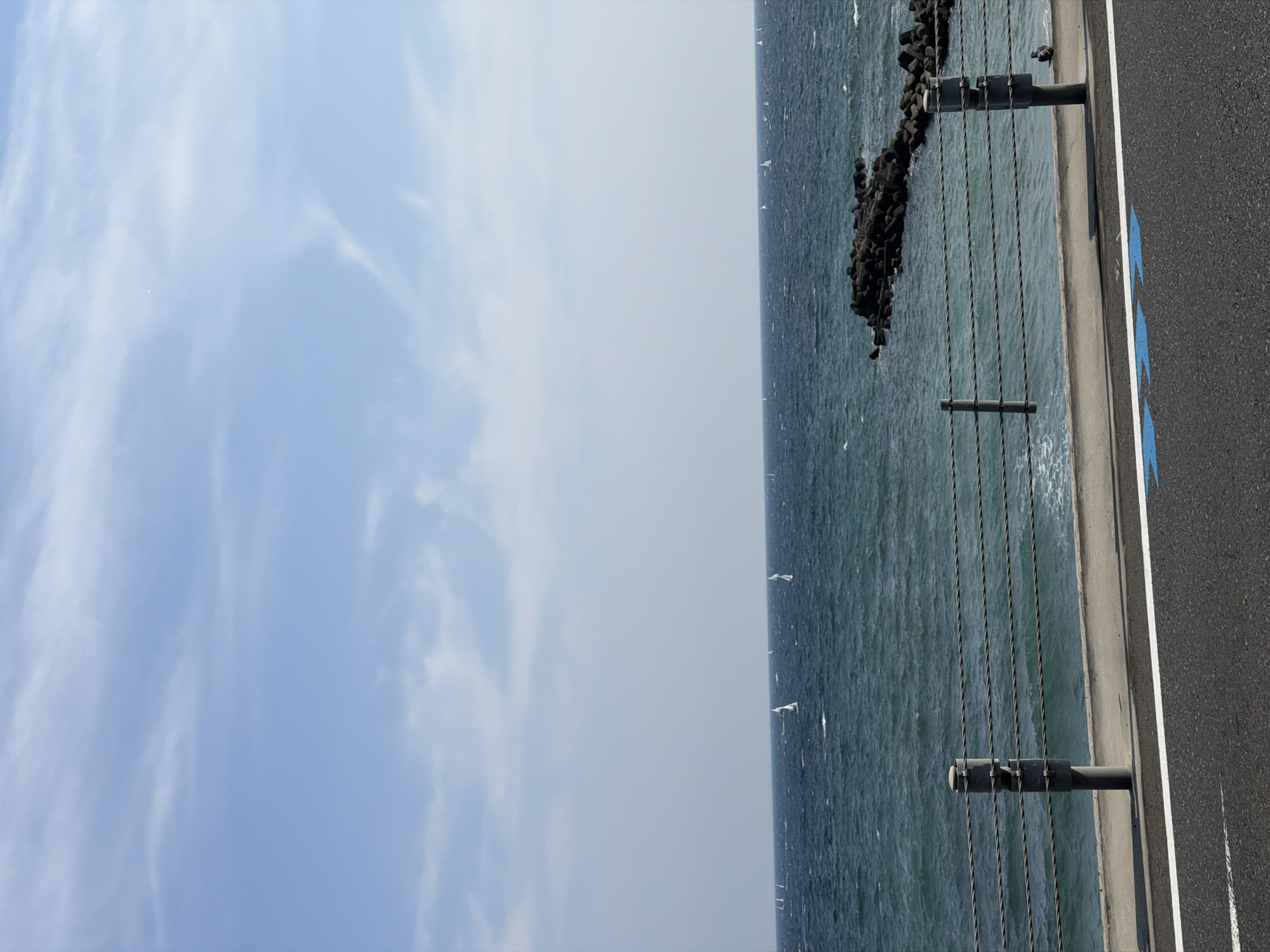 The image depicts a panoramic view of the ocean from a coastal road, likely in Kamakura, Japan, given the context of the request. The sky is a pale blue with wispy white clouds, suggesting a clear, possibly breezy day. The ocean is a deep turquoise, with small whitecaps indicating moderate wave activity. Numerous sailboats with white sails are scattered across the water, creating a dynamic scene. In the foreground, a paved road runs horizontally across the bottom of the frame, with a white line marking its edge. A concrete walkway or promenade runs parallel to the road, separated by a metal railing composed of horizontal cables. A breakwater made of dark, rough stones extends into the ocean from the right side of the frame. A single bird, possibly a pigeon, is perched on the walkway near the breakwater. The overall atmosphere is one of a serene coastal landscape, with human activity represented by the sailboats and the presence of infrastructure like the road and railing.