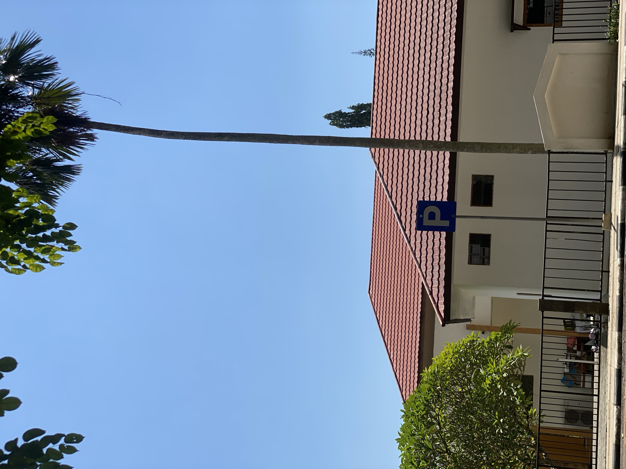 The image depicts a bright, sunny day with a clear blue sky. In the foreground, a black metal fence runs horizontally across the scene, separating a sidewalk from a building. Behind the fence, a white building with a red tiled roof is visible. To the left of the building, a lush green tree with broad leaves stands tall. A tall, slender palm tree with a feathery crown dominates the right side of the frame, reaching high into the sky. A blue parking sign with a white 'P' is mounted on a pole in front of the building. The building appears to be a single-story structure with a few rectangular windows. Some objects, including what looks like air conditioning units and bags, are visible behind the fence near the building. The overall impression is that of a well-maintained, possibly commercial or institutional building in an urban or suburban setting, likely in Banjarbaru, Indonesia, given the architectural style and tropical vegetation.