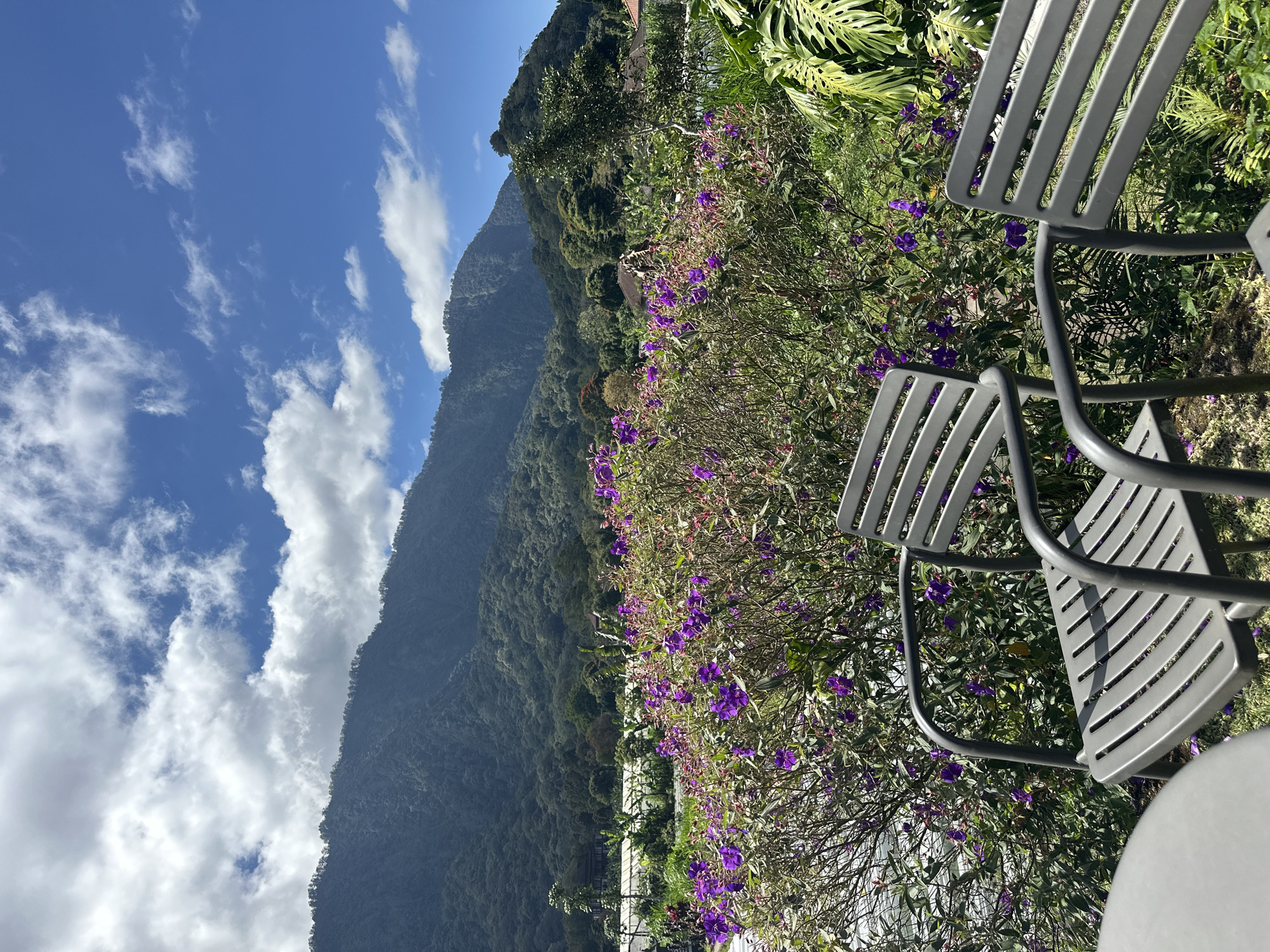 The image depicts a serene outdoor seating area with a lush, verdant landscape in the background. In the foreground, two grey metal chairs and a portion of a table are visible, suggesting a tranquil spot for relaxation. These are positioned amidst a vibrant bush abundant with small, purple flowers. Beyond the floral display, the scene opens up to a rolling hillside covered in dense green foliage, characteristic of a tropical environment. In the far distance, majestic mountains rise, their peaks partially obscured by fluffy white clouds against a clear blue sky. The overall impression is one of natural beauty and peaceful seclusion, potentially a garden or a cafe with a scenic view in Sukasada, Indonesia.