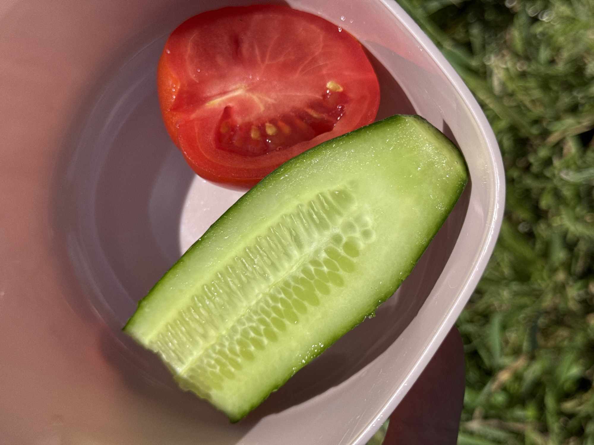 A close-up shot displays a halved tomato and cucumber inside a light pink container. The tomato, a vibrant red, has its seeds and fleshy interior exposed. The cucumber, a bright green, reveals its seedy core. The container is set outdoors, evident from the blurred green foliage in the background. The image was taken in Yelizavetinskaya, Russia.
