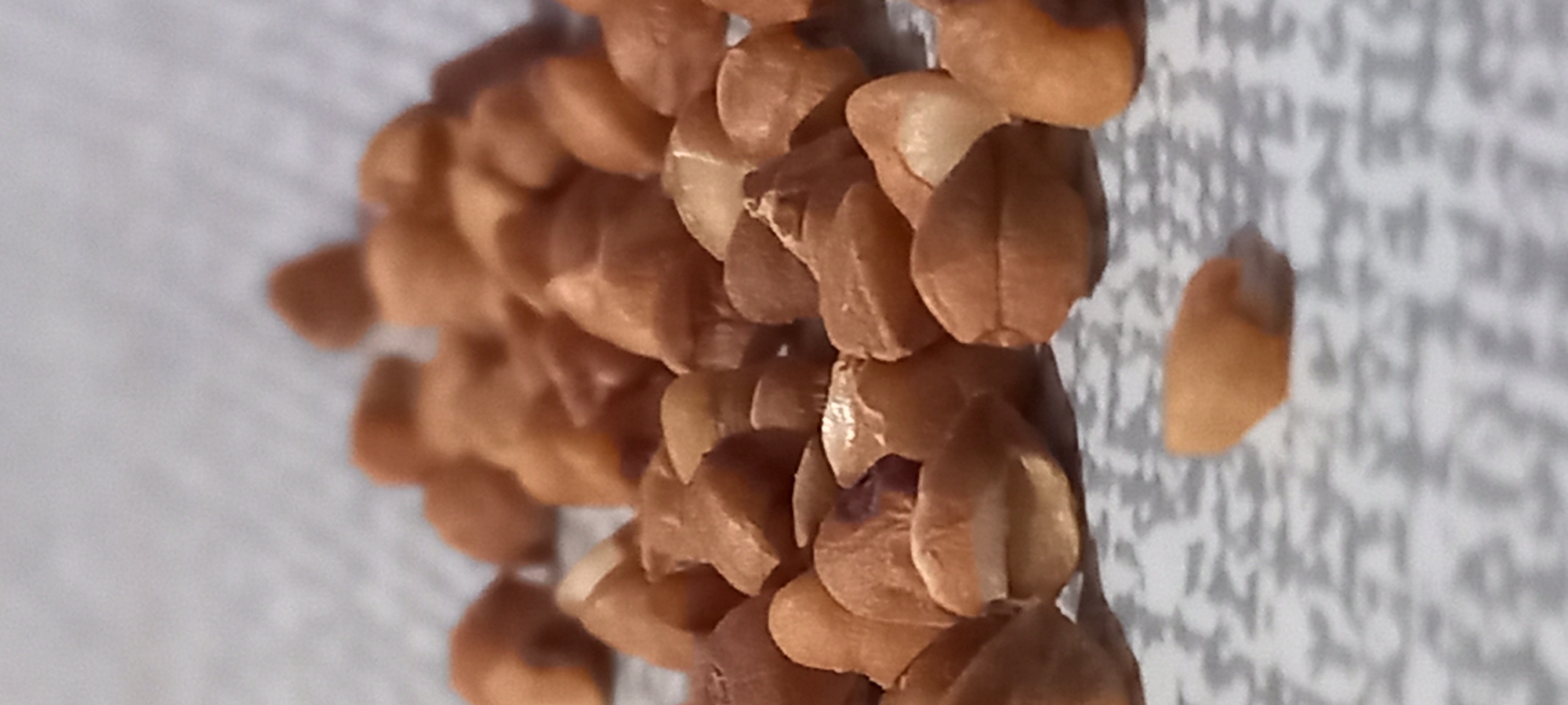 A close-up, vertical-oriented photograph captures a collection of buckwheat groats scattered and piled on a patterned surface. The groats are the primary subject, filling the left and central portions of the frame. They exhibit a range of natural colors, primarily reddish-brown to lighter beige, with some grains revealing a paler, almost white interior where they appear to be hulled or split. Each groat has a distinct, angular, somewhat triangular or pyramidal shape.
The surface beneath the groats is light-colored, possibly white or light grey, and features a subtle, repetitive, light grey pattern. This pattern is indistinct and appears somewhat abstract or like stylized, unreadable text, adding a textured element to the background without drawing focus from the grains. The background is slightly out of focus, creating a shallow depth of field that emphasizes the sharpness and detail of the buckwheat.
No activity or event is taking place; the image is a static still life of food ingredients. The lighting appears even, illuminating the texture and form of the individual groats. There are no people visible, and no discernible location cues within the image itself. The overall impression is a detailed, macro-style shot of buckwheat groats, highlighting their natural appearance.