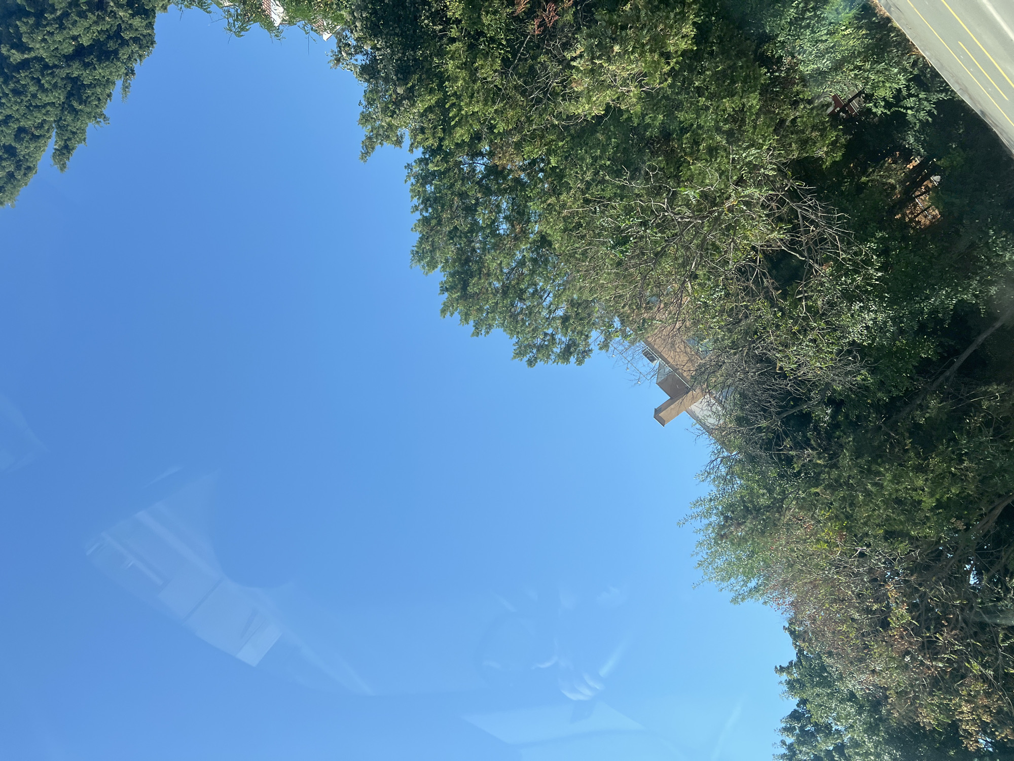 A clear blue sky dominates the upper portion of the image, with a subtle reflection of a person, possibly holding a camera or phone, visible on the left side. The lower half of the frame is filled with dense green foliage from trees. A brick building with a chimney is partially visible through the branches. The scene appears to be an outdoor environment, possibly a residential area or park, with glimpses of urban architecture interspersed with natural elements. The image is oriented at an angle, suggesting it was taken from a moving vehicle or a tilted perspective.