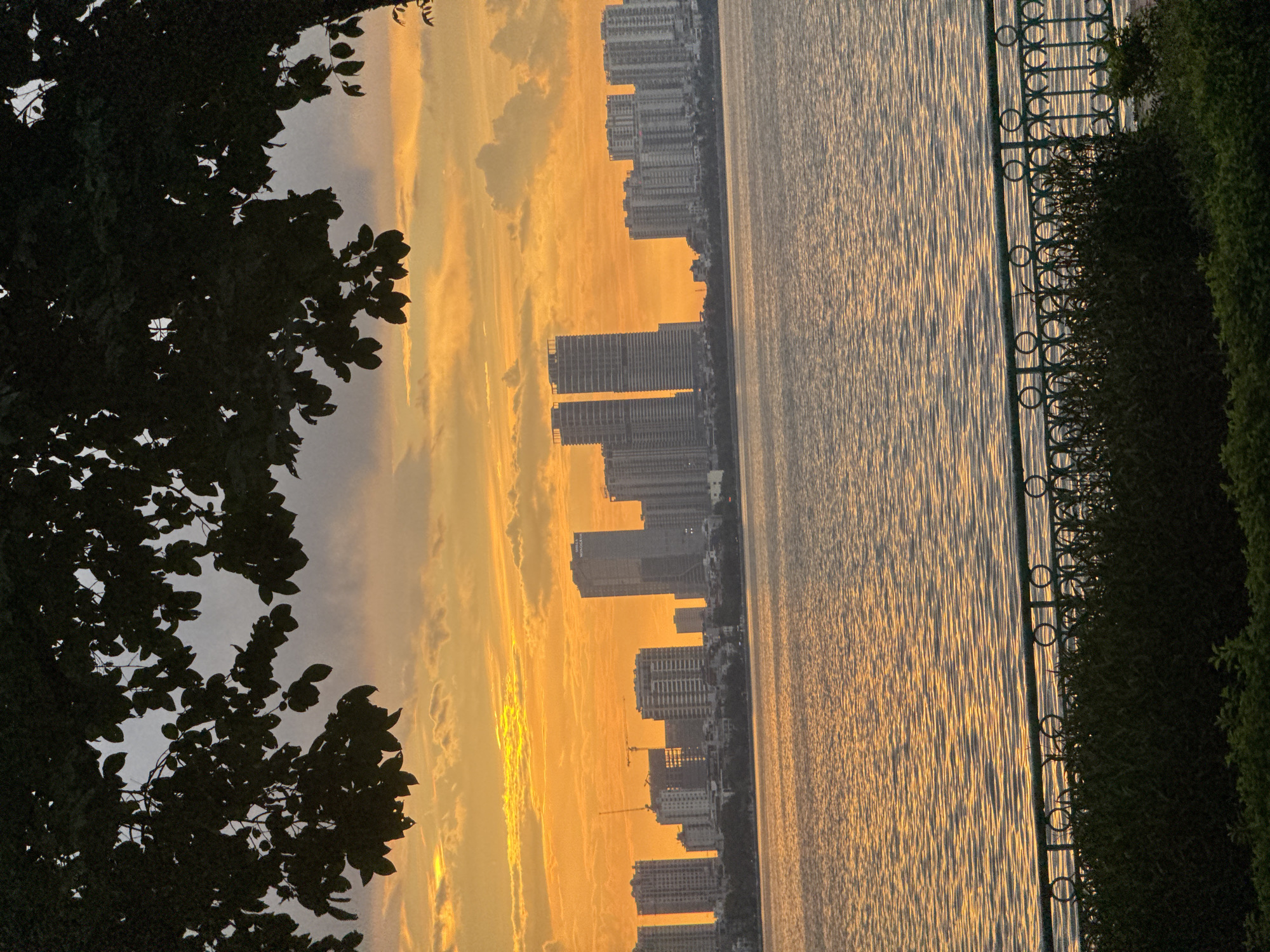 The image depicts a tranquil waterscape in Hanoi, Vietnam, during a vibrant sunset. The foreground is framed by the dark silhouette of tree branches and leaves, creating a natural canopy. Below this, a metallic railing with circular and ornate decorative elements runs horizontally across the image, separating the viewer from a densely planted area of dark green shrubs and smaller plants.
The main focus of the image is the body of water, which reflects the warm, golden hues of the sunset. The water's surface is rippled, creating a dynamic texture of light and shadow. Beyond the water, a city skyline is visible. Numerous tall buildings, ranging in architectural style from modern high-rises to slightly older structures, are silhouetted against the bright orange and yellow sky. Some buildings appear to be under construction, with cranes visible among them. The sky itself is a dramatic canvas of sunset colors, with streaks of orange, yellow, and hints of white clouds scattered across it. The overall impression is one of a peaceful urban sunset over a lake or river in Hanoi.