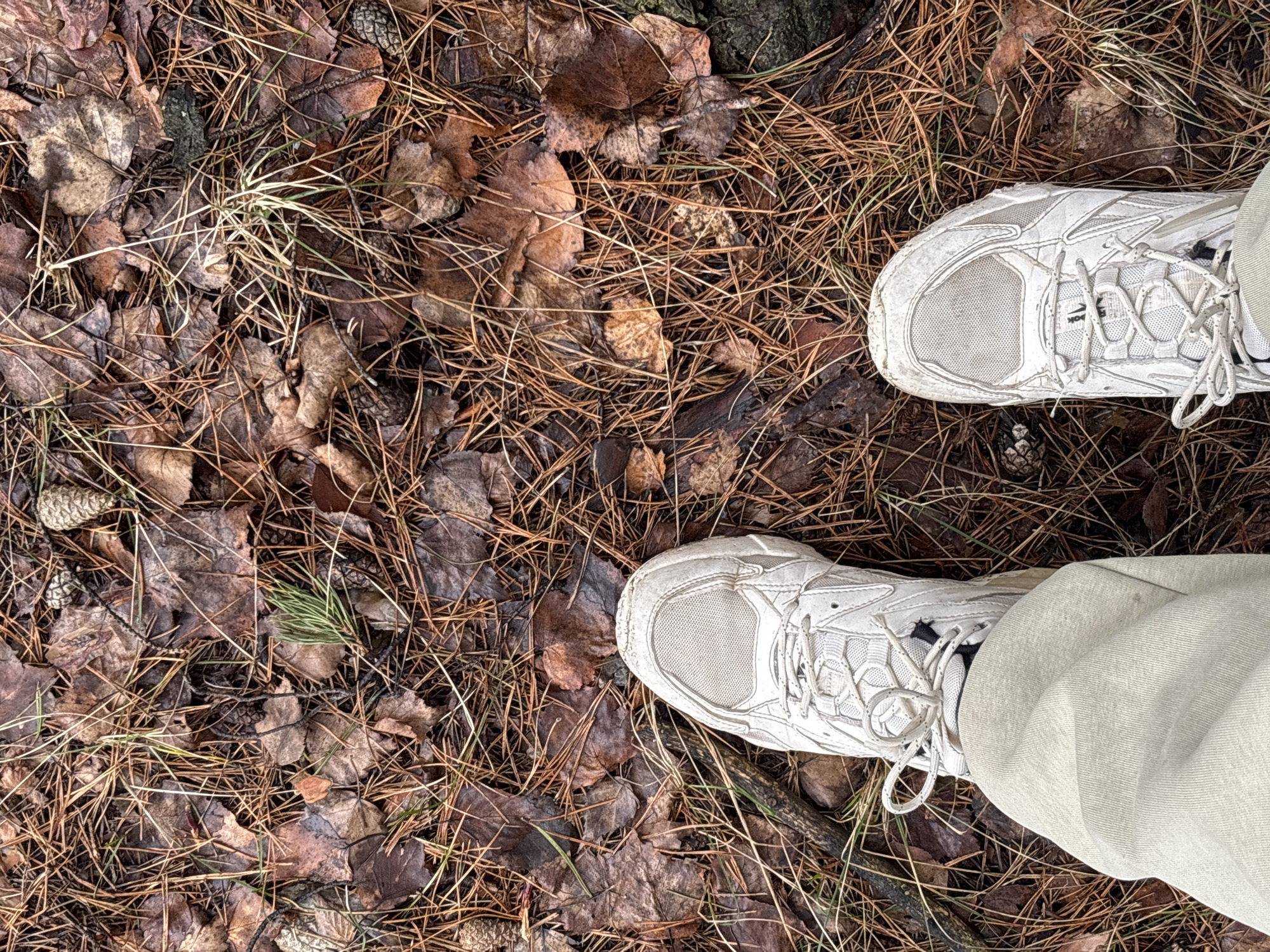The image shows a top-down view of a forest floor covered in fallen leaves and pine needles. Two feet wearing white sneakers and light-colored pants are visible in the frame. The location appears to be a wooded area, likely a park or forest trail. There is no indication of it being the city of Chaikovsky, Russia.