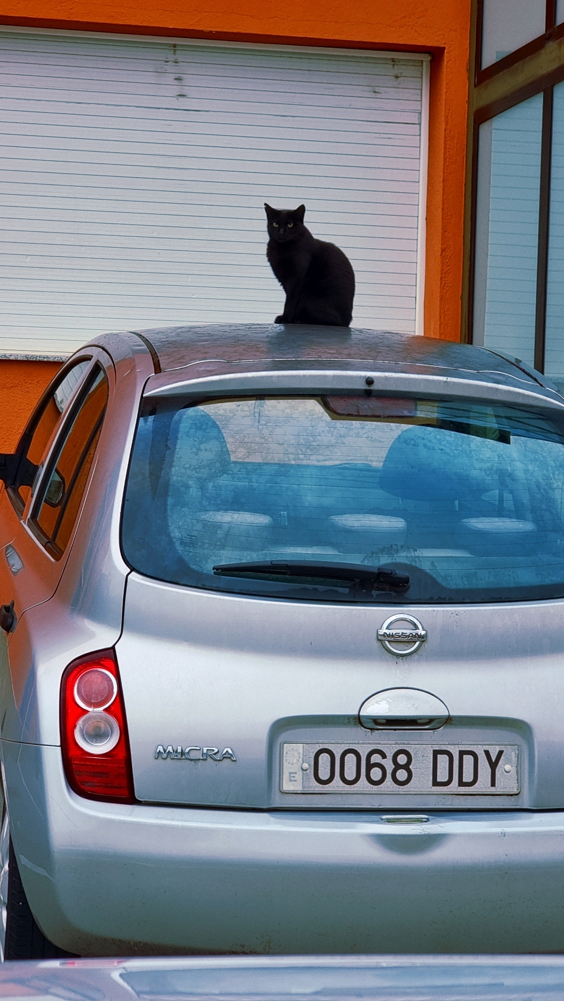 A black cat is perched on the roof of a silver Nissan Micra parked in front of a building with an orange facade. The car's rear is visible, showing taillights, a license plate reading "0068 DDY", and the Nissan logo. A white roll-up garage door is behind the car, with a section of orange wall to the right. The setting appears to be Sant Joan Les Fonts, Spain, indicated by the license plate format.