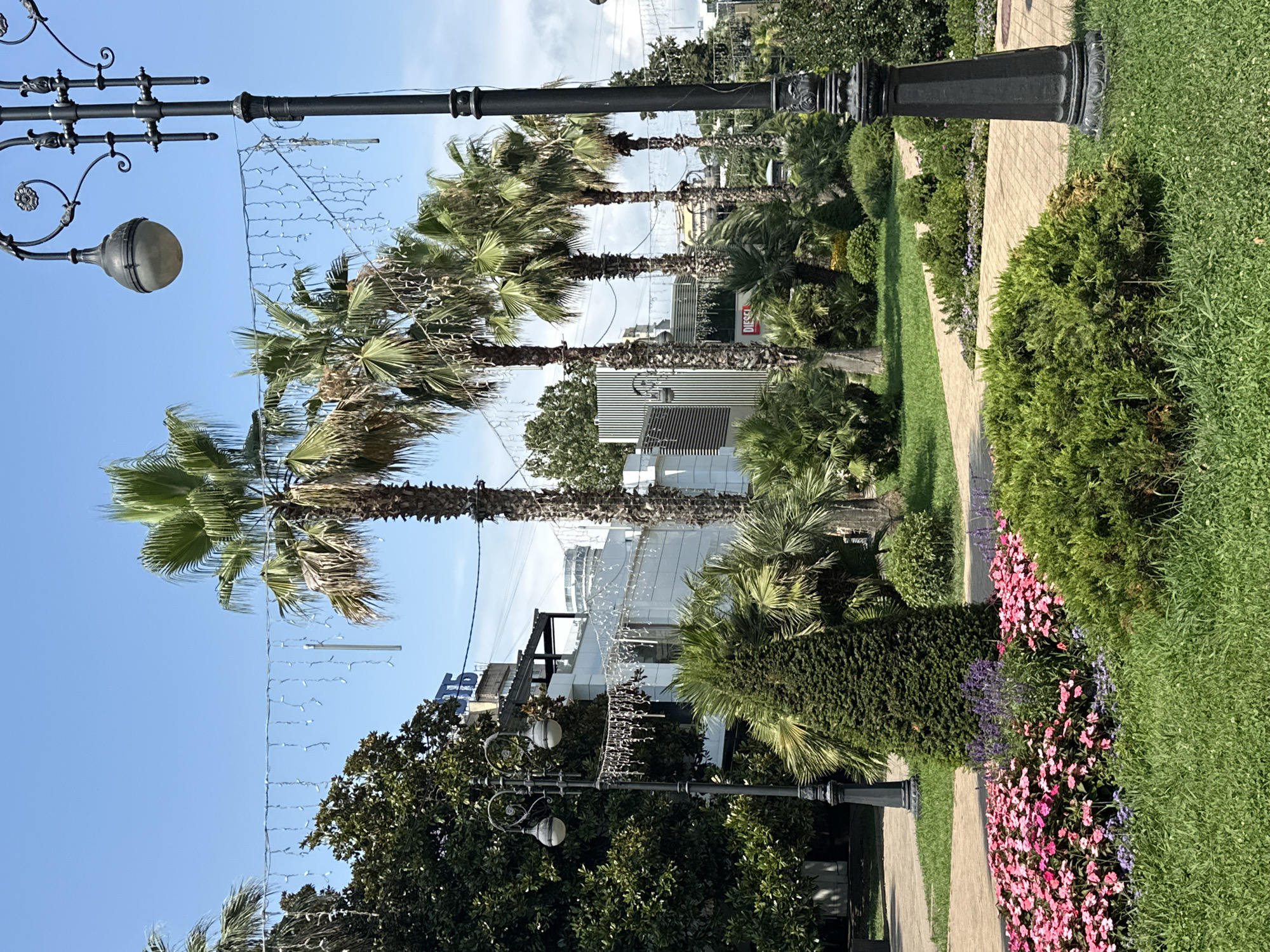 The image shows a park area in Sochi, Russia, with a clear blue sky overhead. In the foreground, there are well-maintained flower beds with pink and purple flowers, surrounded by lush green grass and manicured bushes. A paved walkway meanders through the park. Tall palm trees are prominent, with some smaller coniferous trees and other greenery scattered throughout the scene. Ornate streetlights stand on either side of the frame. In the background, modern buildings with large windows and balconies are visible, suggesting a commercial or residential area adjacent to the park. Some string lights are visible suspended between trees. No people are present in the image.