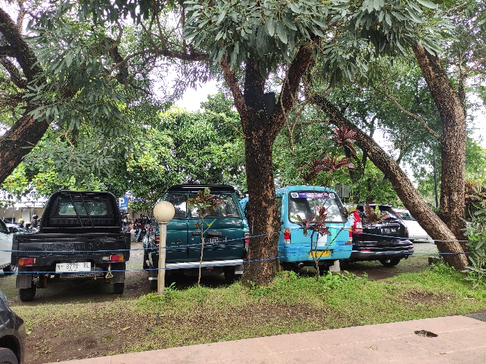 This outdoor medium shot captures a shaded parking area in Kepanjen, Indonesia, characterized by abundant greenery and parked vehicles. The scene is dominated by several large trees with thick, dark trunks and dense green foliage, casting significant shade over the area.

In the foreground and mid-ground, multiple vehicles are parked. On the far left, a black pickup truck faces away from the viewer, its license plate clearly displaying "N 3779 KL." Next to it, a dark green SUV or similar vehicle is parked, partially obscured by a white, spherical street lamp or bollard. To the right of the street lamp, a light blue small van or minibus is parked, also facing away, with its license plate partially visible. Behind the blue van, a black SUV and a white car are also parked. The black SUV behind the blue van has a partially visible license plate, "N 1123 MA."

The ground consists of dirt or gravel mixed with patches of green grass. Several red-leafed plants provide pops of color among the tree trunks and near the vehicles. A thin blue rope or cord is strung between some tree trunks, possibly delineating parking spaces or pedestrian paths. In the background, more trees, glimpses of buildings, and a white sign with a blue "P" symbol (indicating parking) are visible.

The lighting suggests it is daytime, likely overcast or with the sun high overhead, as there are no strong shadows. No people are visible in the image. The setting conveys a sense of everyday activity in a verdant, tropical environment.