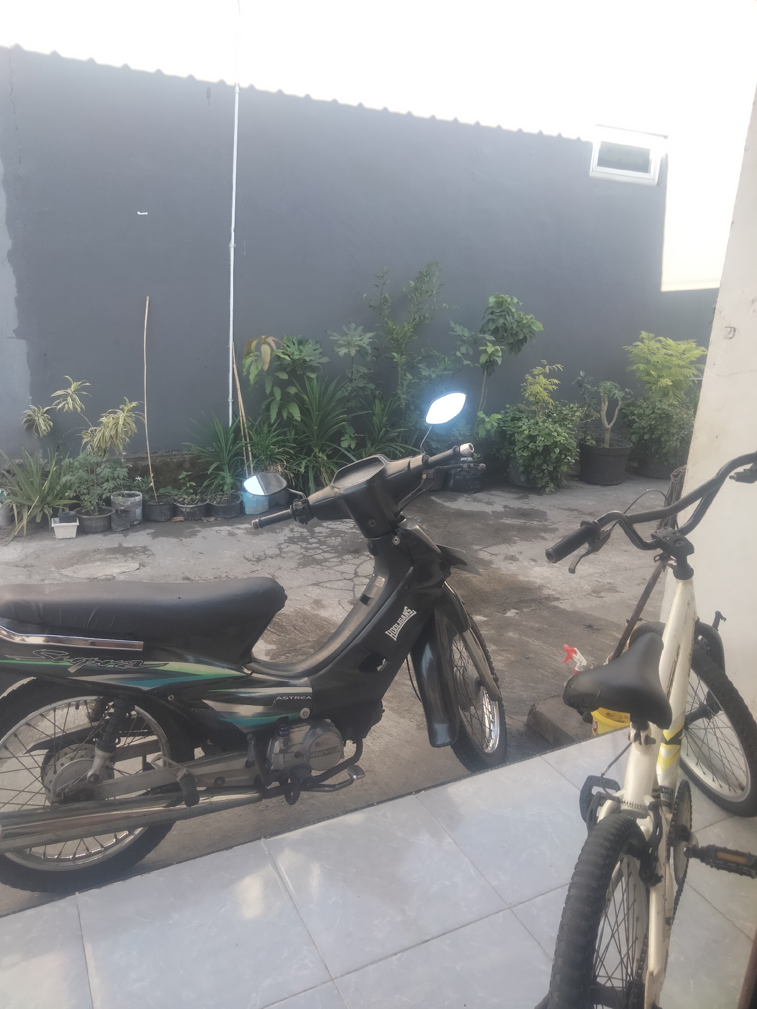 The image captures a residential outdoor space, likely a backyard or patio, in Suko, Indonesia. In the foreground, a black motorcycle is parked, partially obscuring a white bicycle. The motorcycle, a "Supra Astrea" model, is positioned on the left side of the frame, facing towards the viewer's right. Its seat is black, and the engine and exhaust are visible. The white bicycle, to the right, has its handlebars turned. A red spray bottle is placed on the ground near the bicycle. Behind the vehicles, a dark grey wall forms the backdrop, with a white electrical conduit running vertically up its surface. A small, square window is visible near the top right of the wall. A variety of potted plants and larger green foliage are arranged along the base of the wall, suggesting a garden or cultivated area. The ground appears to be paved with concrete tiles. The lighting suggests it is either early morning or late afternoon, with shadows cast across the wall from an unseen roof structure.