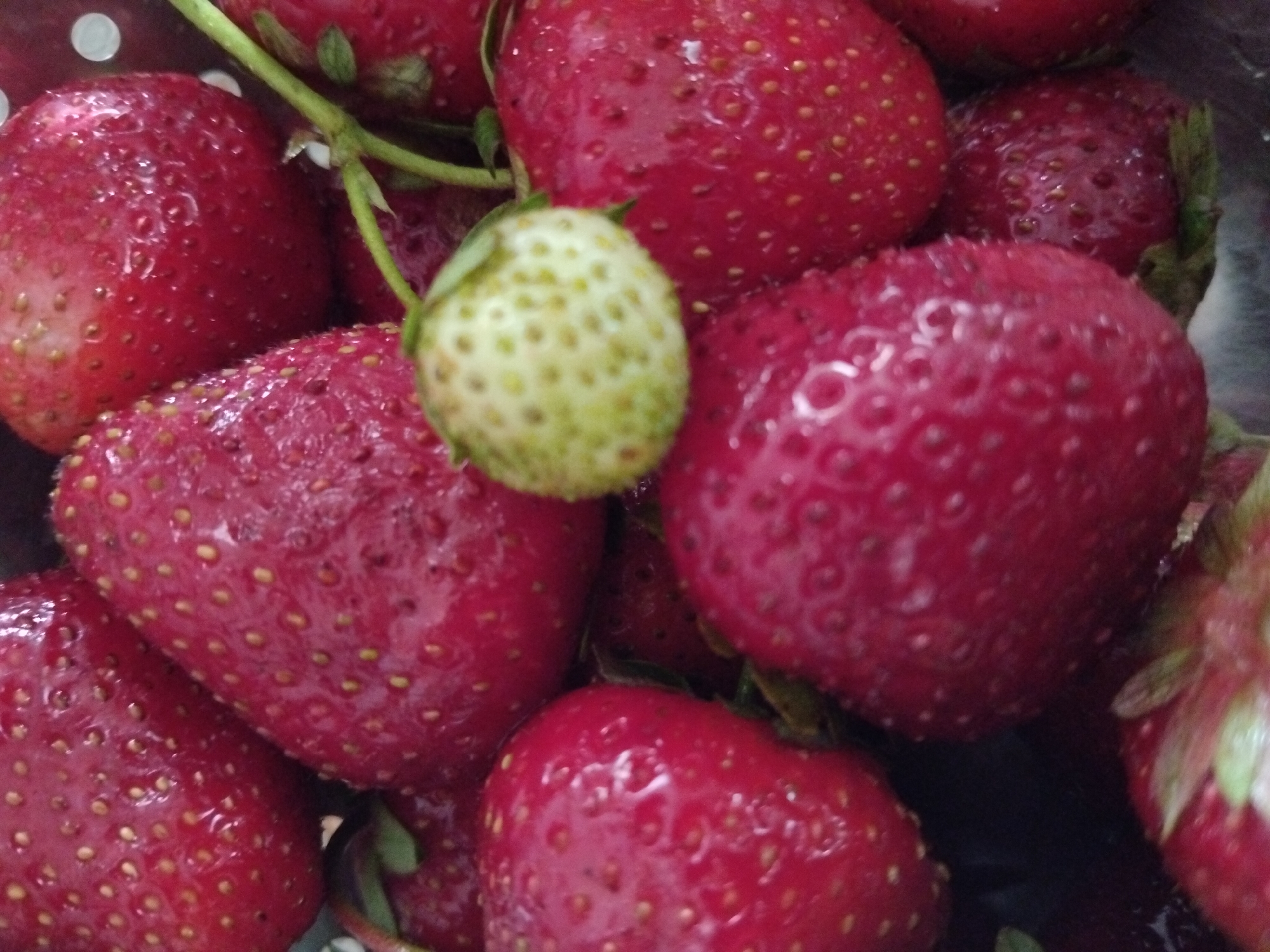 A close-up, overhead shot shows a pile of ripe, red strawberries. A single unripe, pale green strawberry is visible in the center of the frame, slightly out of focus. Some of the strawberries have water droplets on them, suggesting they have recently been washed. The image provides no information about its location in Kyiv, Ukraine, or any other geographical context.