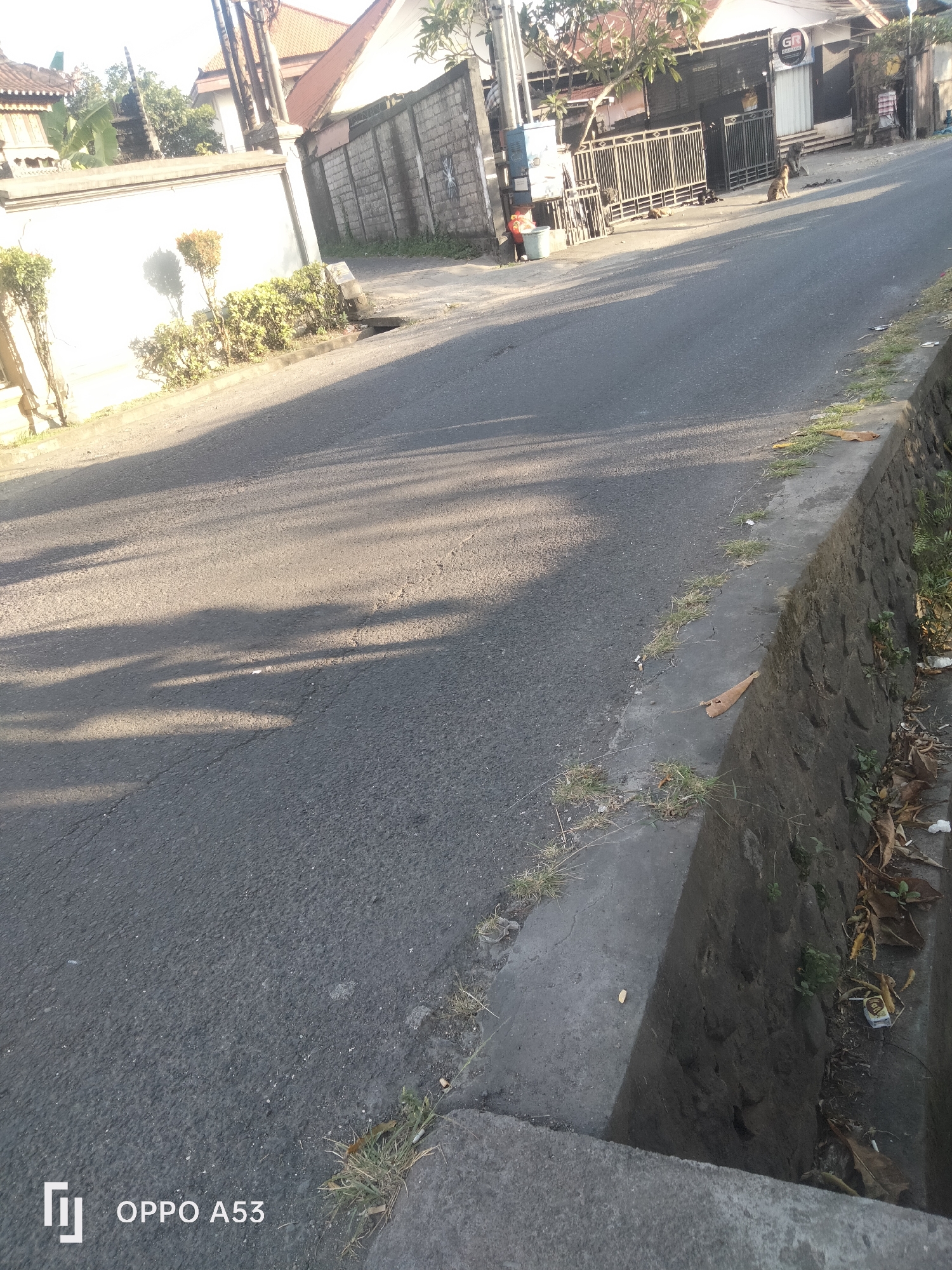 The image depicts a street scene in Denpasar, Indonesia, likely during daylight given the strong shadows. The foreground is dominated by a paved road with visible cracks, bordered by a stone-lined drainage ditch. Sparse patches of grass and dried leaves are present along the ditch and road edge. In the midground, to the left, is a white wall with manicured bushes and small trees. To the right, across the road, a dark metal gate and fence are visible in front of buildings, one of which has a circular sign with the letters "GR" and "KULINER". Several dogs are present in front of the gate, with one standing prominently on the road. The background shows more buildings and trees. The overall impression is of a typical urban street in a tropical climate. The bottom left corner of the image displays a watermark reading "OPPO A53".