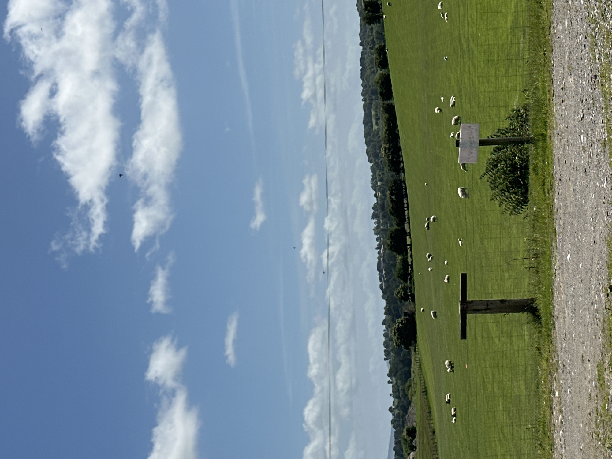 The image captures a pastoral scene in Baltinglass, Ireland, under a bright blue sky dotted with fluffy white clouds. A gentle green hillside stretches across the frame, populated by numerous sheep grazing peacefully. A fence runs across the field, separating the foreground from the grazing area. In the mid-ground, a rustic wooden post stands, with a white sign attached to it. A line of trees forms a dark green band along the horizon, with rolling hills and distant structures visible beyond. The foreground consists of a gravel path. The overall impression is one of serene rural life.