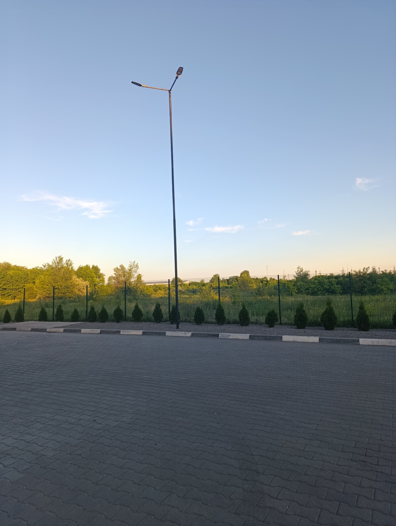 The image shows a street light pole with two lamps, positioned in the center of the frame, extending into the clear blue sky. In the foreground, a paved area with interlocking gray bricks forms a road or parking lot. A curb with a gravel border and small, evenly spaced evergreen shrubs runs along the edge of the paved area. Beyond the shrubs, a dark green metal fence encloses a grassy field with scattered trees and bushes. The background features a treeline with a variety of green foliage. The lighting suggests it is late afternoon or early evening. There are no people or animals visible in the image.