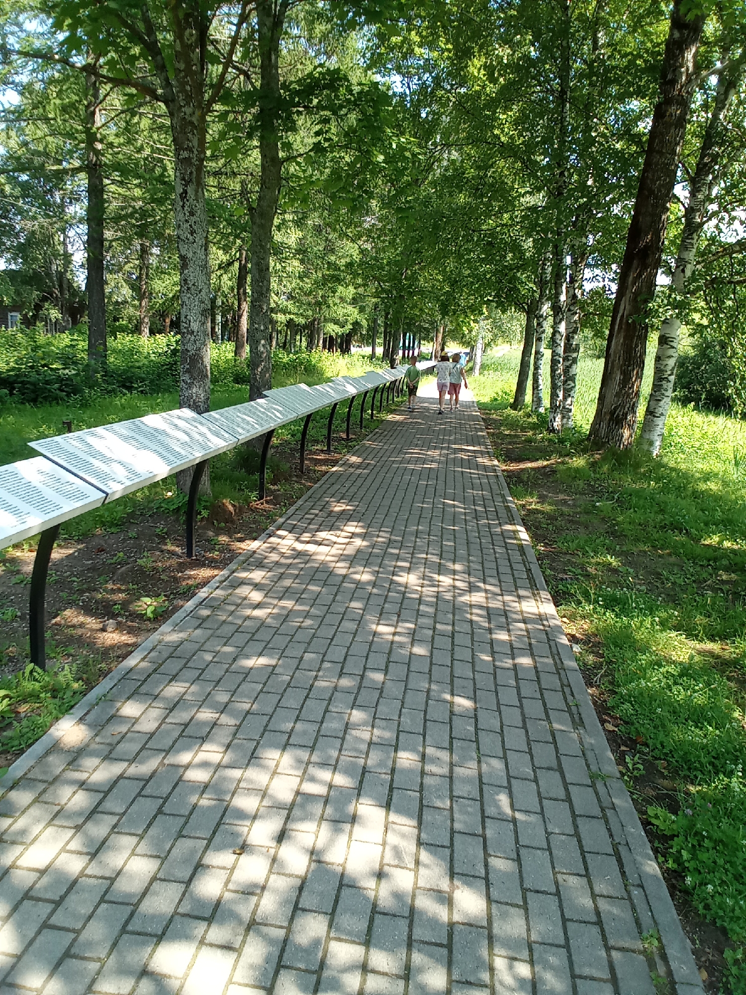 The image shows a paved walkway in Belozersk, Russia, lined with trees and an exhibit of information panels. Two individuals are walking away from the camera on the pathway. The walkway is made of light-colored rectangular pavers and is bordered by grass and dirt on either side. The exhibit panels are mounted on black metal stands and display text, suggesting an outdoor museum or historical display. The trees are tall and leafy, casting dappled shadows across the walkway. The overall scene depicts a serene, outdoor setting, likely a park or a memorial area in Belozersk.