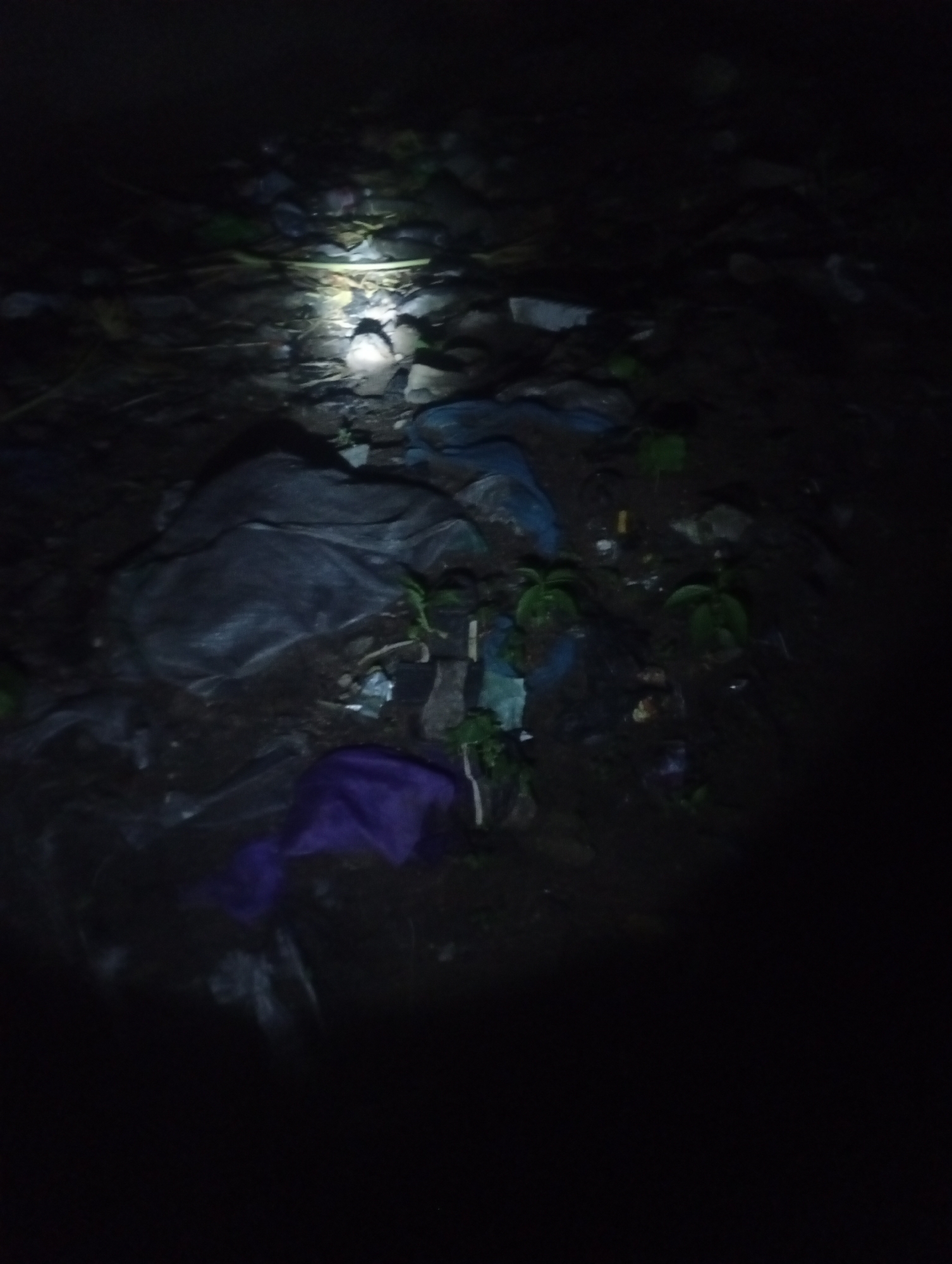 The image depicts a dimly lit outdoor scene, possibly a roadside or a less-maintained area in Jalingo, Nigeria. The primary focus is a collection of scattered debris, including dark-colored plastic sheeting or bags, various types of trash, and some vegetation. A bright light source, likely a flashlight, illuminates a portion of the scene, casting strong shadows and highlighting the texture of the ground and the discarded items. In the foreground, a piece of purple fabric or plastic is visible. The overall impression is one of neglect and the presence of waste in a natural or semi-natural environment. There are no people or discernible human activity captured in the image.