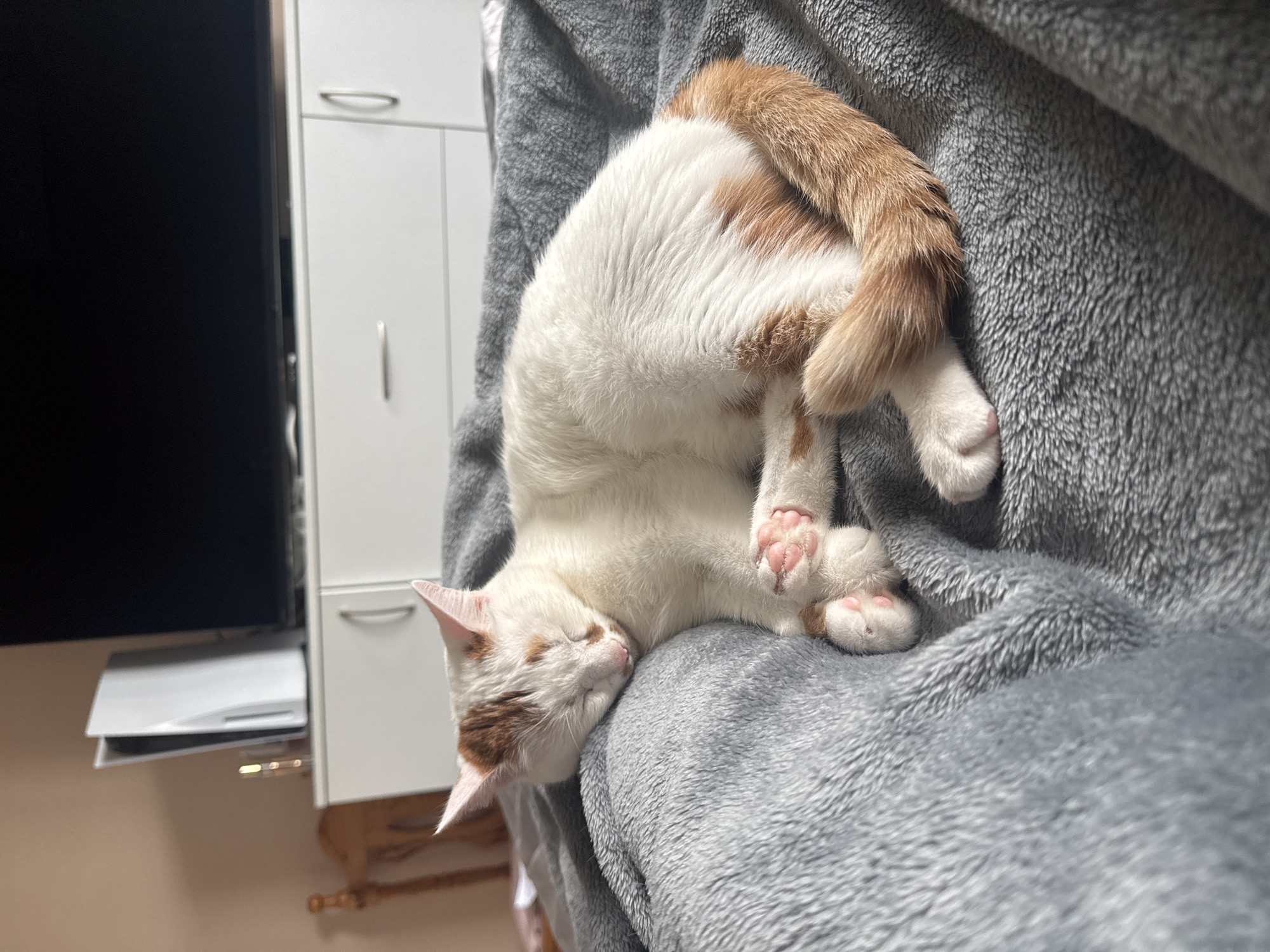 A white and ginger cat is sleeping on a gray, fuzzy blanket. The cat is curled up, with its head resting on its paws. Its eyes are closed, and its ears are perked. The background of the image shows a white dresser with a black television on top. A white PlayStation 5 console is also visible on the dresser. The room appears to be a bedroom. The lighting suggests it is daytime. The specific location in Sofia, Bulgaria is not determinable from the image alone.