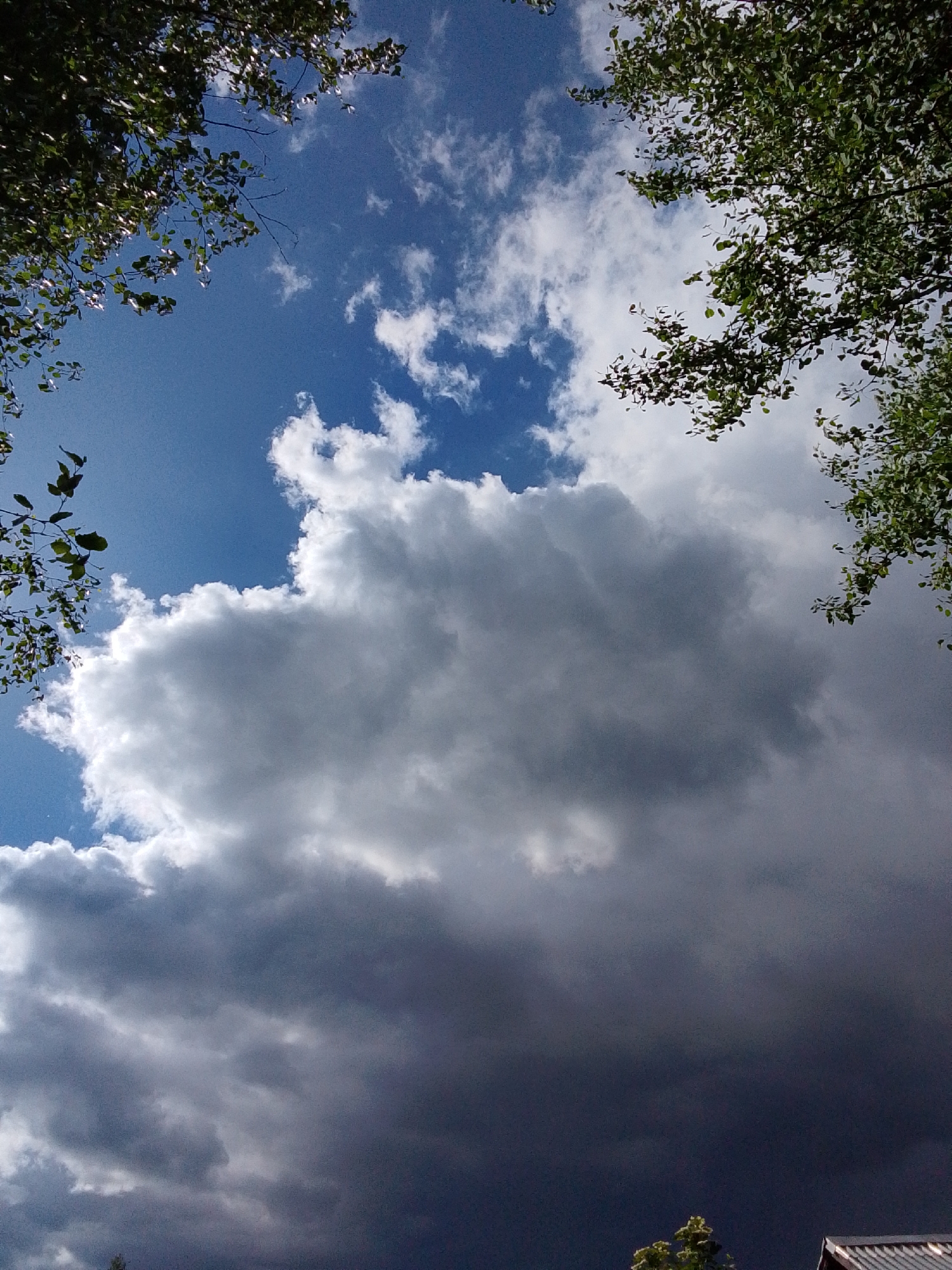 The image is a view looking up towards the sky, framed by trees in the upper corners. The sky transitions from a blue color at the top to a dark grey at the bottom, suggesting a storm is approaching. A large, gray cloud formation dominates the center of the frame. A small portion of a building is visible at the very bottom right, indicating the scene is likely located within a residential area. The exact location is 1-Go Maya, Russia.