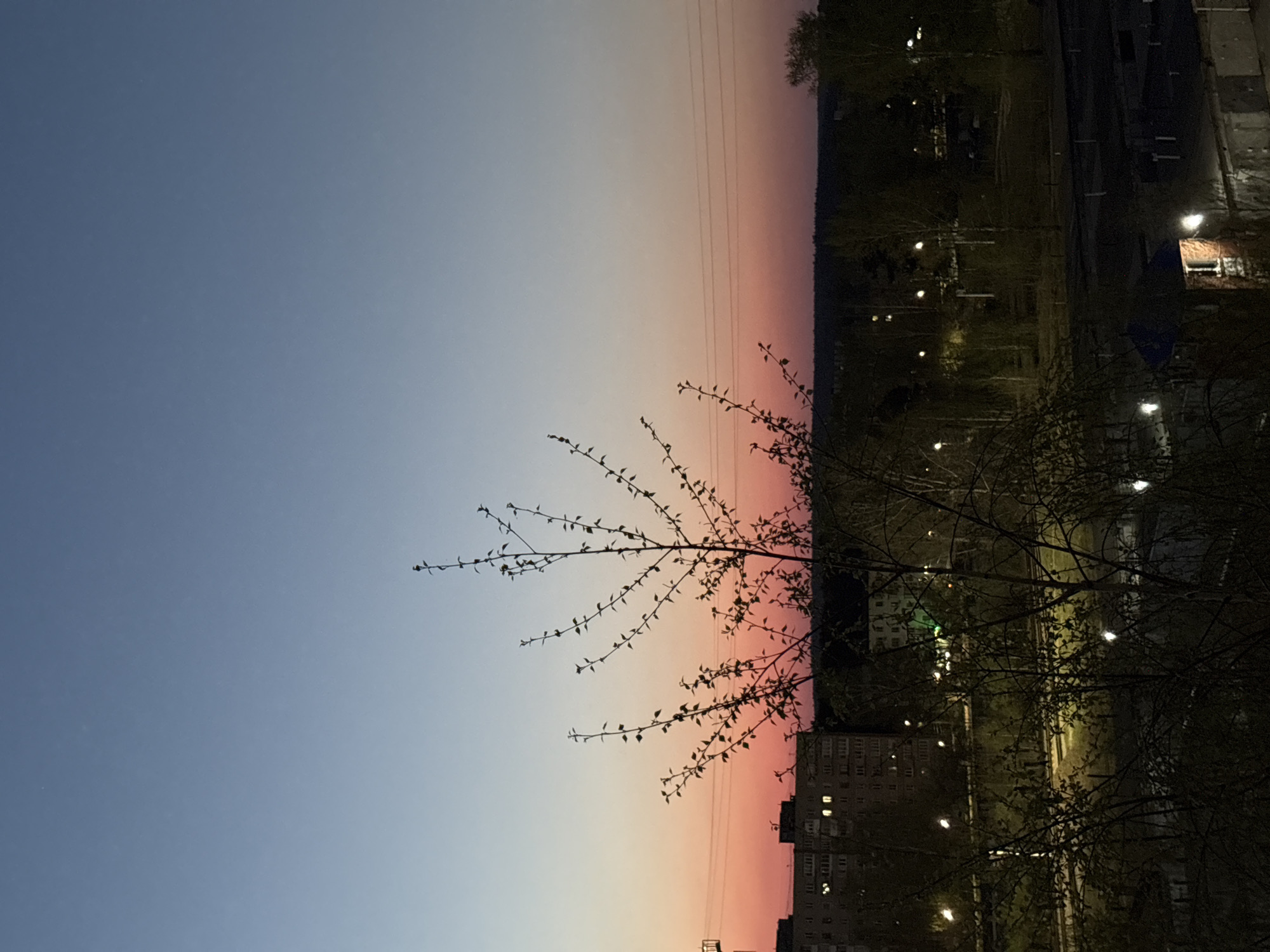 The image is a twilight landscape taken in what appears to be the city of Chaikovsky, Russia. The sky transitions from a pale blue at the top to a deep red-orange at the horizon. A bare-branched tree is silhouetted against the colorful sky. Urban elements like buildings and streetlights are discernible on the right side of the frame. Utility wires are visible against the gradient sky. The overall scene suggests an urban setting experiencing a late-day or early-morning sky.