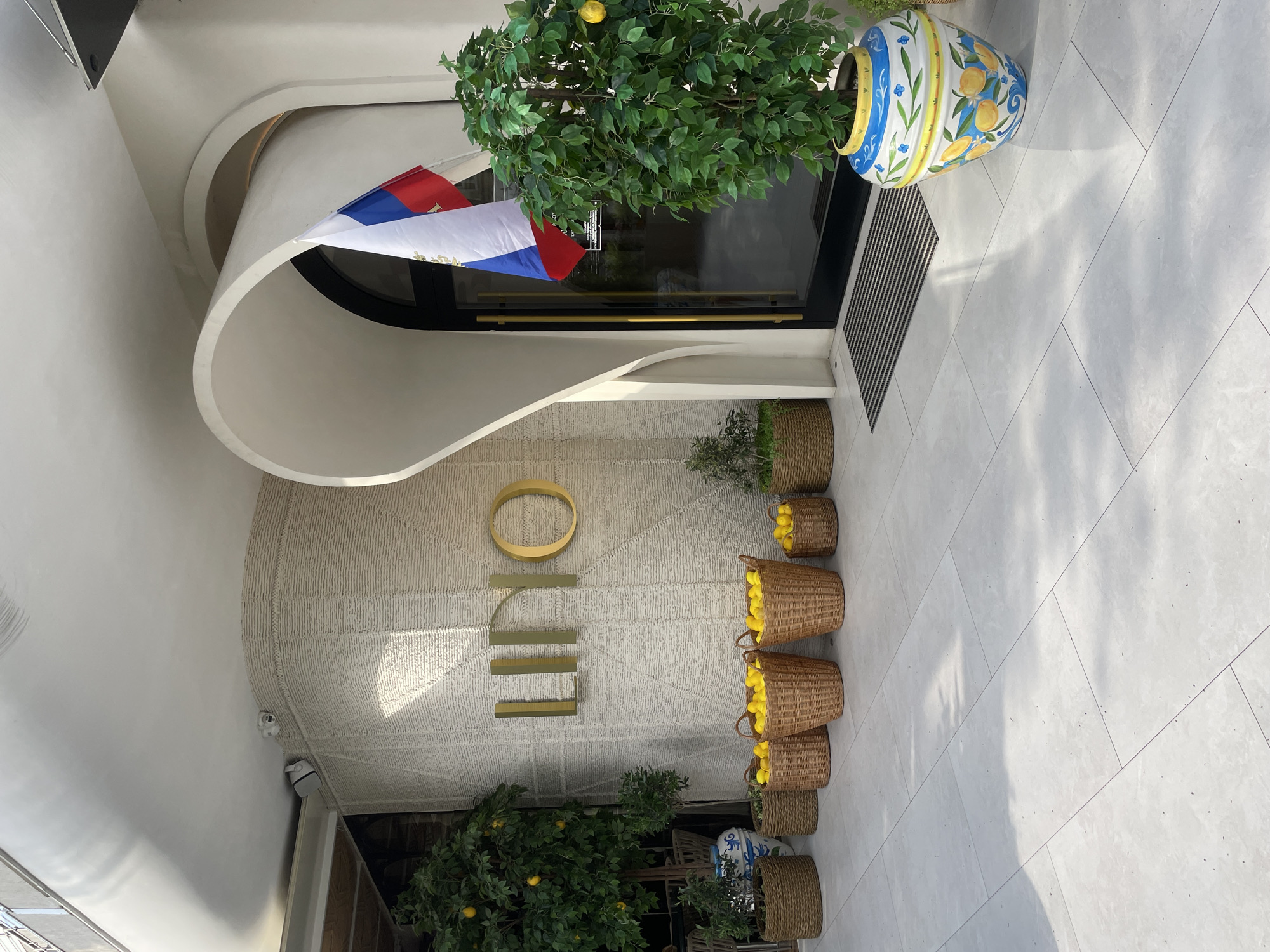 The image shows the entrance of a building in Sochi, Russia, identified by the gold "OLLO" sign. The entrance is flanked by greenery, including a lemon tree on the right and another plant on the left. The door area is decorated with a Russian flag and a ceramic vase with a lemon pattern. Baskets filled with lemons are placed along the side of the entrance, adding to the lemon-themed decor. The building's facade is textured, and security cameras are visible. The flooring is light-colored tile.