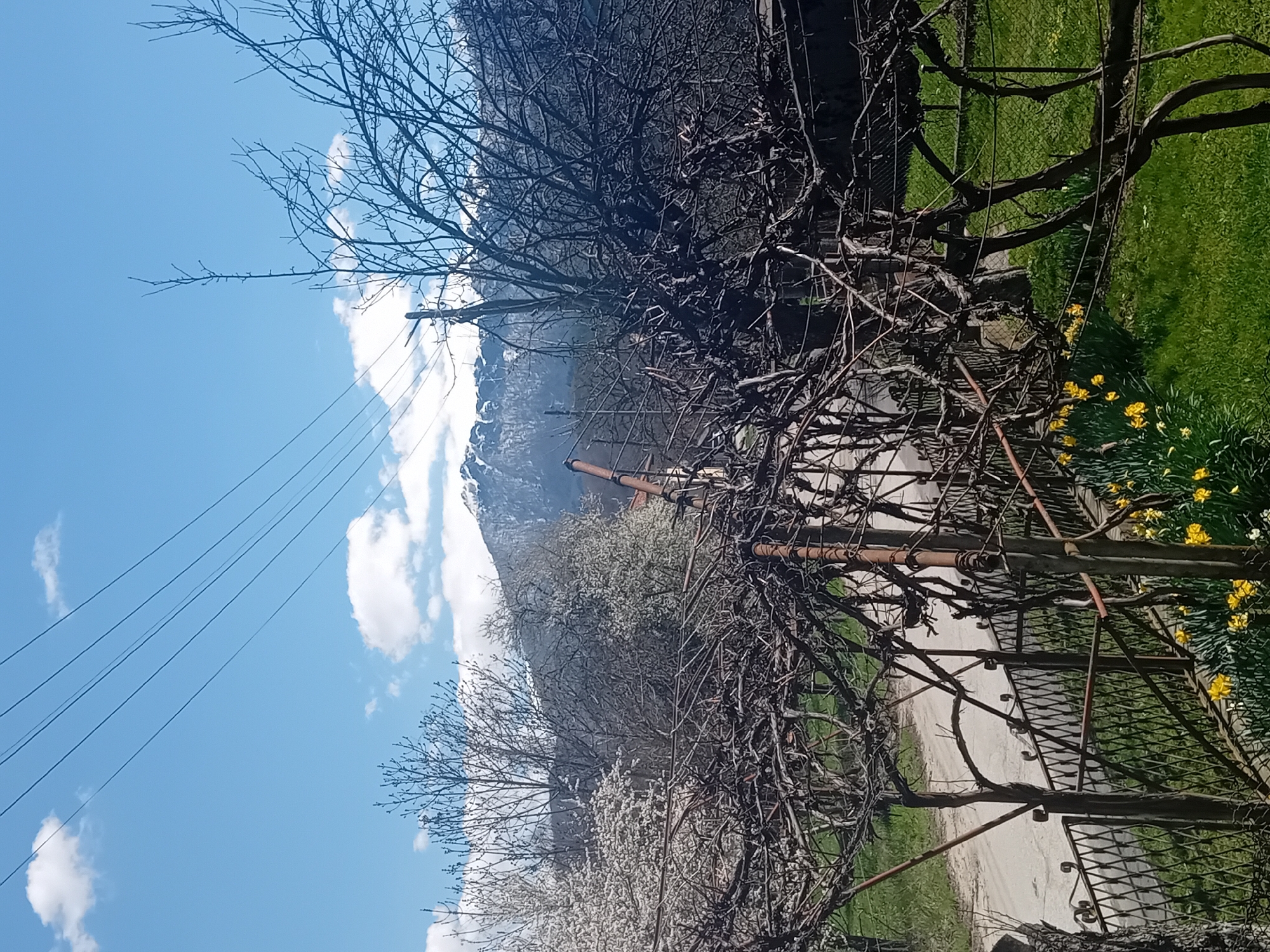The image depicts a landscape with a mountain in the background partially covered in snow. The sky is blue with scattered white clouds. In the foreground, there are trees with bare branches and some flowering trees. There's a path or road visible through the trees, along with a rusty metal fence. Yellow flowers are growing on the grass. Power lines are visible against the sky. The location is unknown. No people are visible.