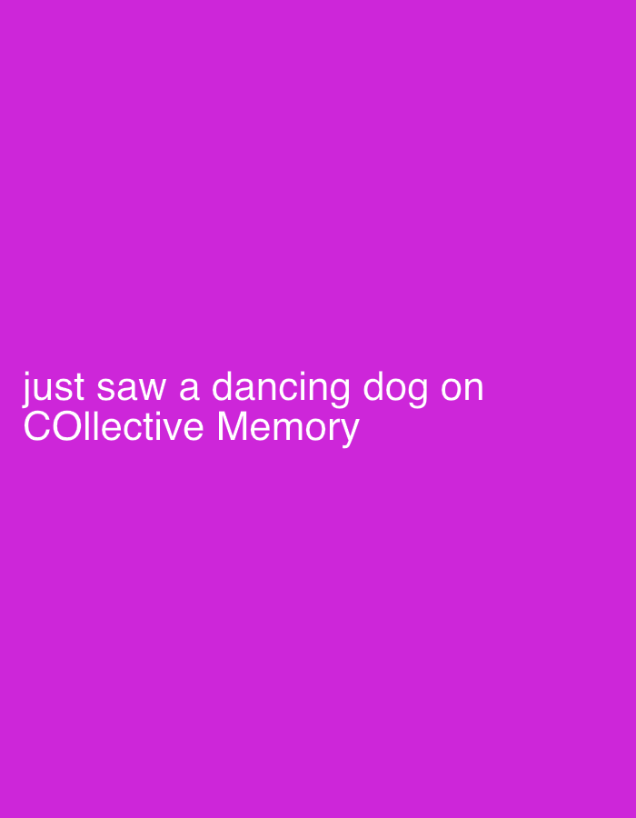The image features white sans-serif text centered on a solid magenta background. The text reads: "just saw a dancing dog on COllective Memory". There are no other visual subjects, objects, people, or a discernible scene or setting depicted in the image. No specific activity or event is visually taking place; rather, an event is described in the text. The image provides no notable details regarding time of day, weather, or specific location cues within the visual content itself, although the provided context states the location is Rafin Par, Nigeria. The overall tone is simple and direct, focusing solely on the textual message.