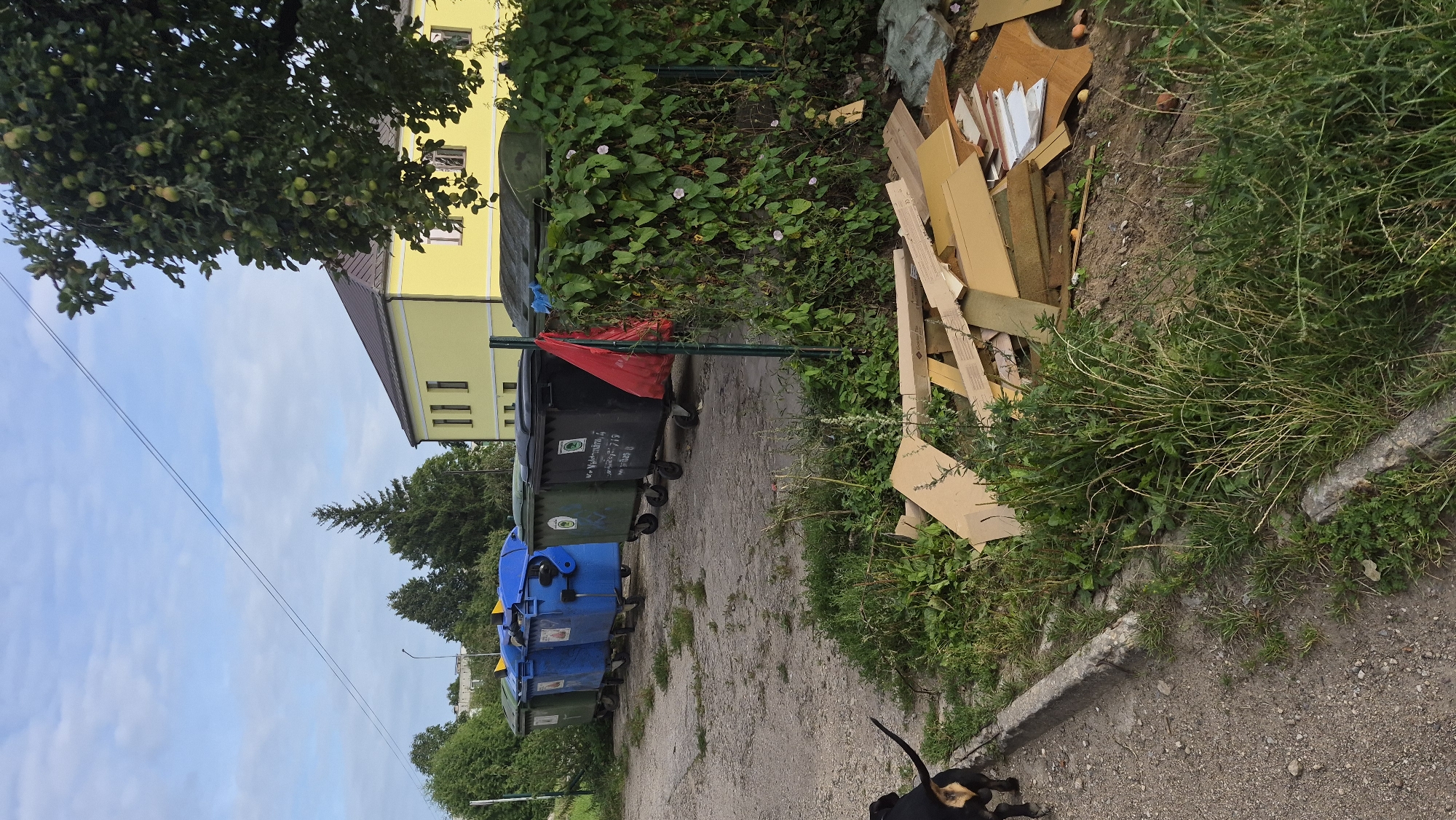 The image depicts a scene in the city of Krauja, Latvia, featuring a row of large, wheeled garbage bins situated outdoors on a gravelly surface. The bins are of various colors, including blue, green, and black, with some having lids open. Adjacent to the bins, a chain-link fence is partially covered by dense green vegetation, with some small pink flowers visible. To the right of the fence, a pile of discarded construction materials, including wood scraps and cardboard, is visible. In the foreground, a small black dog with a tan marking on its rear is partially visible on the left side of the frame, facing away from the camera. In the background, a yellow building with a brown roof and multiple windows is visible. The sky above is partly cloudy.