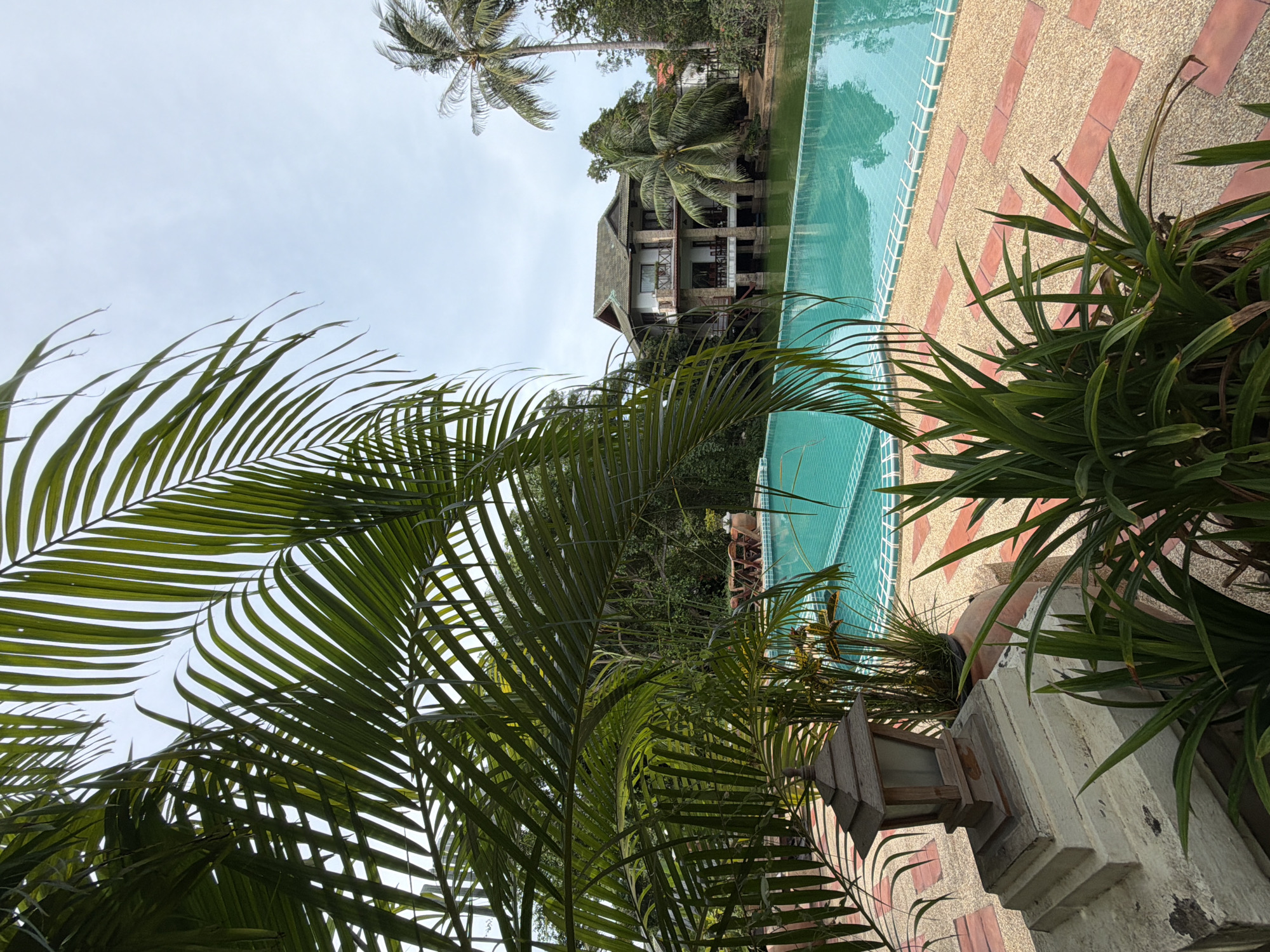 In Baan Bo Phut, Thailand, an infinity pool with turquoise water is featured prominently, bordered by a light-colored, pebble-like surface interspersed with rectangular reddish-brown tiles. Lush green palm fronds dominate the foreground, framing the scene and creating a sense of tropical enclosure. To the right of the pool, a multi-story building with a sloped, dark roof and balconies stands on stilts over a body of water surrounded by dense vegetation. Palm trees are visible in the background, some tall and slender, others with more mature fronds. A small, wooden lantern-style light fixture sits on a stepped, stone base in the lower left quadrant of the image, surrounded by various green plants. The sky is overcast with a pale blue hue. There are no people or animals visible in the frame. The overall impression is one of a serene, resort-like setting.