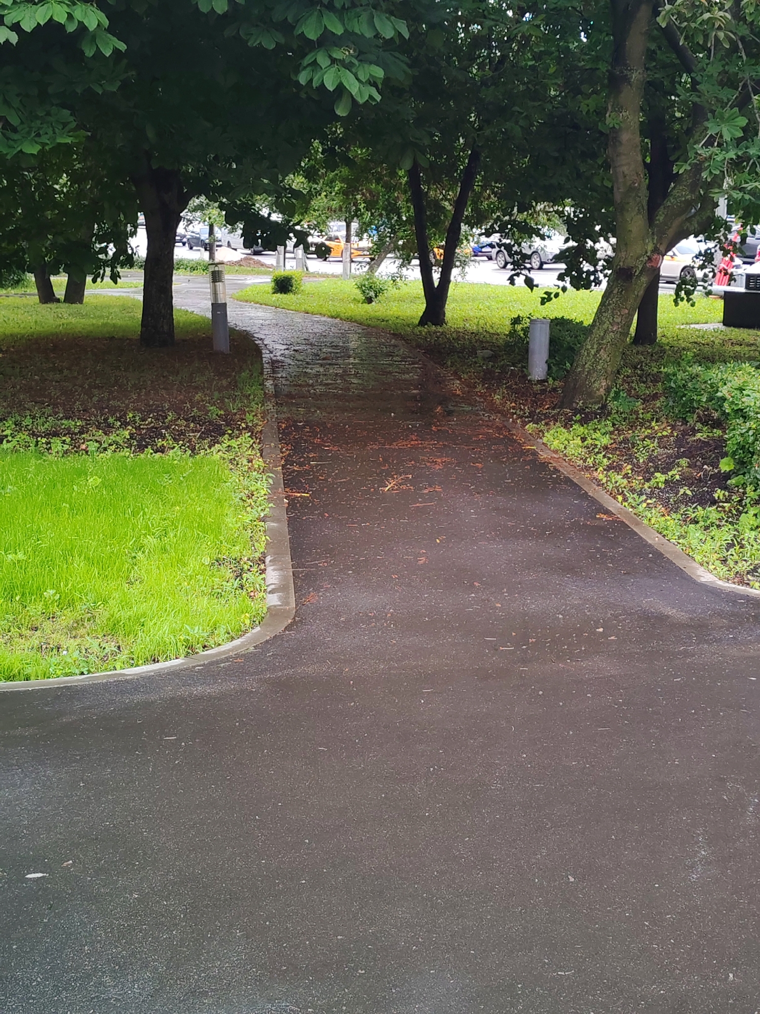 An eye-level, medium shot captures a wet paved walkway curving through a park setting. The walkway is dark grey, reflecting the overcast sky and appearing slick from recent rain. Fallen leaves and debris are scattered across its surface. To the left, a patch of vibrant green grass borders the walkway, with a gray concrete curb separating it from the path. In the background, several trees with lush green foliage create a canopy overhead, dappling the scene with shade. Beyond the trees, a glimpse of a street can be seen with parked cars and what appears to be a street lamp. The overall atmosphere is serene and damp, suggestive of a recent rainfall in a well-maintained urban park.