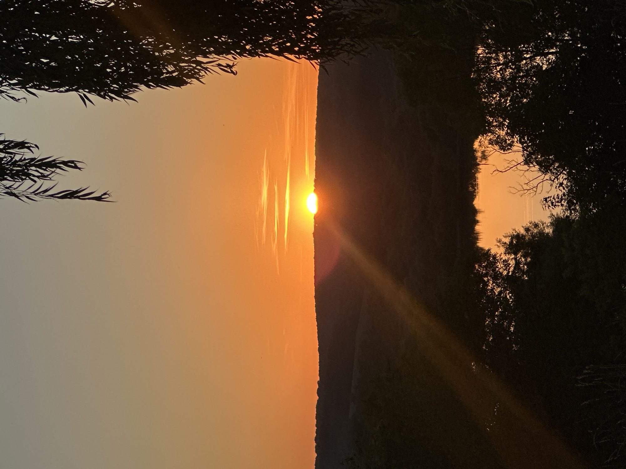 The image depicts a sunset scene over a body of water, likely a river or lake, in the rural area of Makiv, Ukraine. The sky is a vibrant gradient of orange and yellow, with the sun appearing as a bright, partially obscured disc just above the horizon line of a distant, tree-covered hill. Rays of light emanate from the sun, casting a warm glow across the landscape. In the foreground, silhouetted trees and foliage frame the view, with drooping branches of a willow tree visible at the top and right edges of the frame. The water reflects the colors of the sunset, creating a shimmering surface. The overall impression is one of natural beauty and tranquility.