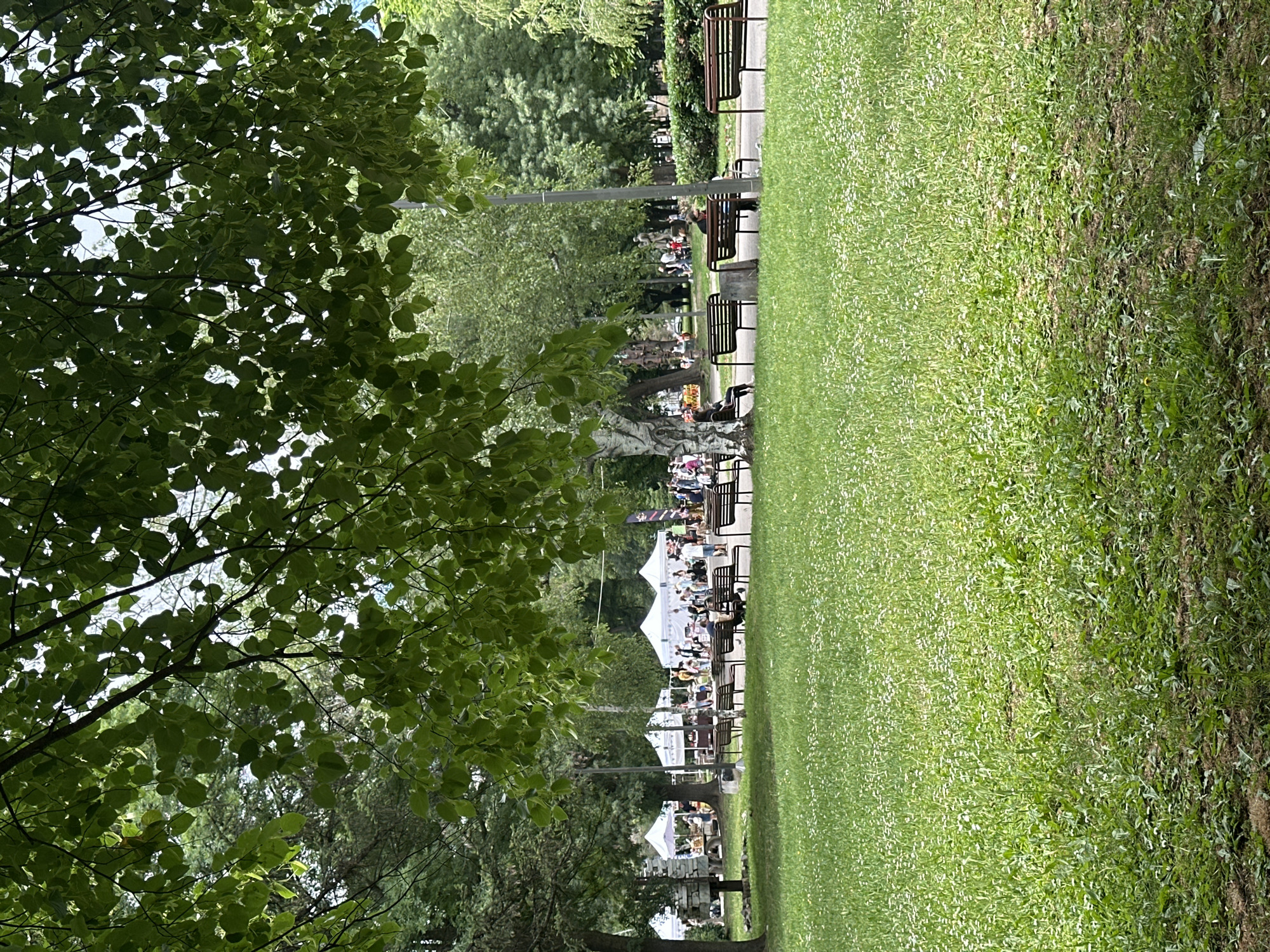 The image depicts a park scene in Sofia, Bulgaria, likely during a daytime event. The foreground is dominated by a lush green lawn dotted with small white flowers. Several park benches are visible, some occupied by individuals. In the midground, there is a gathering with white tents set up, suggesting a market or fair. People are walking around and interacting within this area. Trees provide shade, with large green leaves hanging from branches in the upper portion of the image. In the background, more trees and foliage are present, and a light pole stands near some of the benches. The overall atmosphere appears relaxed and social.