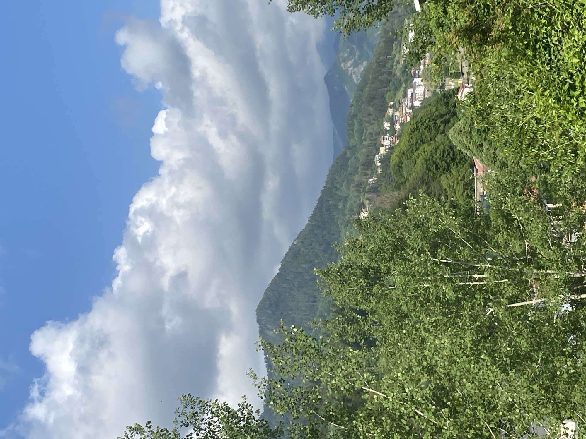 This image presents a serene mountainous landscape, likely captured on a bright day. In the immediate foreground, dense green foliage and branches of trees, possibly aspens, frame the scene, with individual leaves and lighter-colored bark visible.
Beyond the foreground, the midground is dominated by a succession of verdant mountains and hills, heavily forested with various types of trees, showcasing a rich tapestry of greens. Nestled into the slopes of these mountains, particularly on the right side, is a small town or village. Numerous buildings, many featuring white or light-colored walls and distinct reddish-orange tiled roofs, are visible amongst the trees, indicating a settled community integrated with the natural environment. Further into the distance, layers of mountains recede into softer, hazy blue and grey tones, conveying depth.
The sky occupies the upper portion of the image. A clear, bright blue sky is visible on the far left, gradually transitioning into a magnificent display of large, dramatic cumulus clouds. These clouds range from brilliant white and fluffy to denser, grey formations, creating a dynamic backdrop.
The time of day appears to be daytime, with clear lighting suggesting either morning or afternoon. The weather is partially cloudy but bright. The overall scene evokes a sense of peace and natural beauty within a high-altitude, forested setting. Based on the context provided, the location is Smolyan, Bulgaria, which aligns with the mountainous and forested characteristics of the image. No visible text is present in the media file.